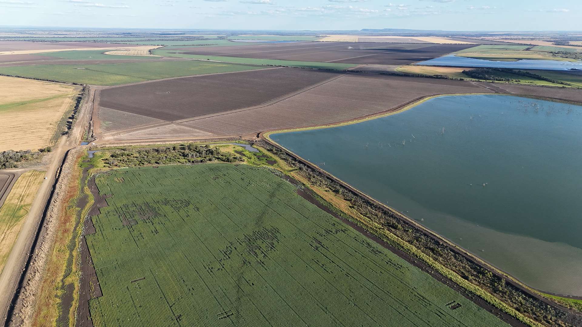 2527 Comet Downs Road, Arcturus For Sale by Farmbuy.com - image 3