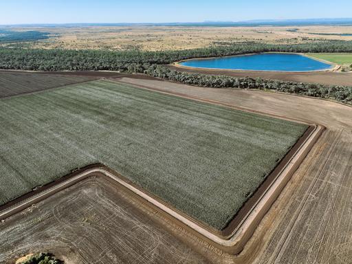 2527 Comet Downs Road, Arcturus QLD 4702