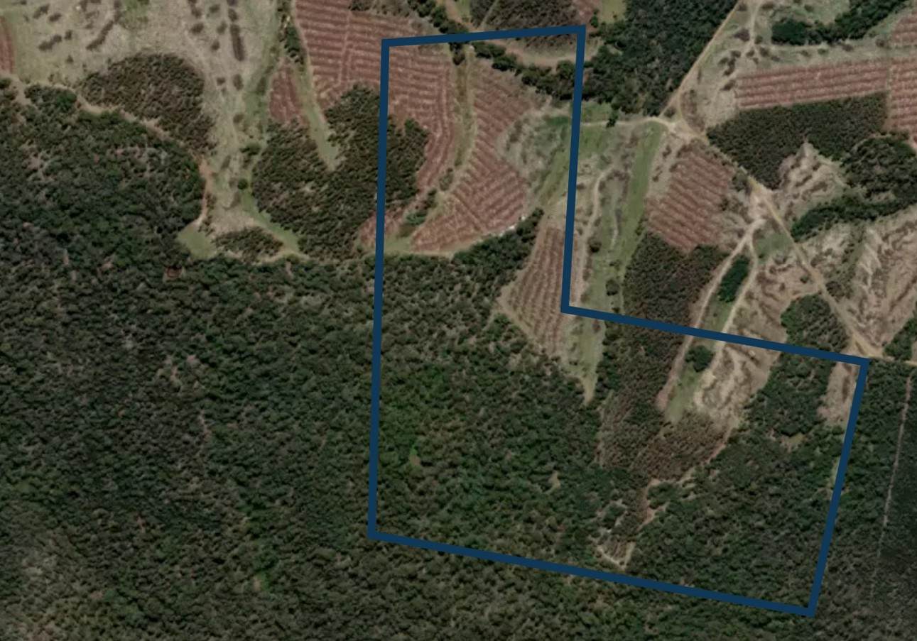 Lot 7, 524 Rosedale Road, Bicheno For Sale by Farmbuy.com - image 2