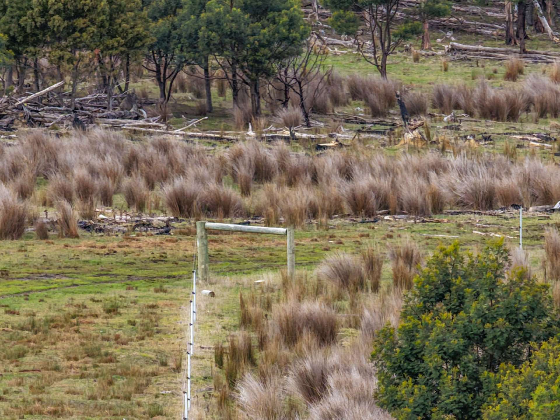 Lot 7, 524 Rosedale Road, Bicheno For Sale by Farmbuy.com - image 4