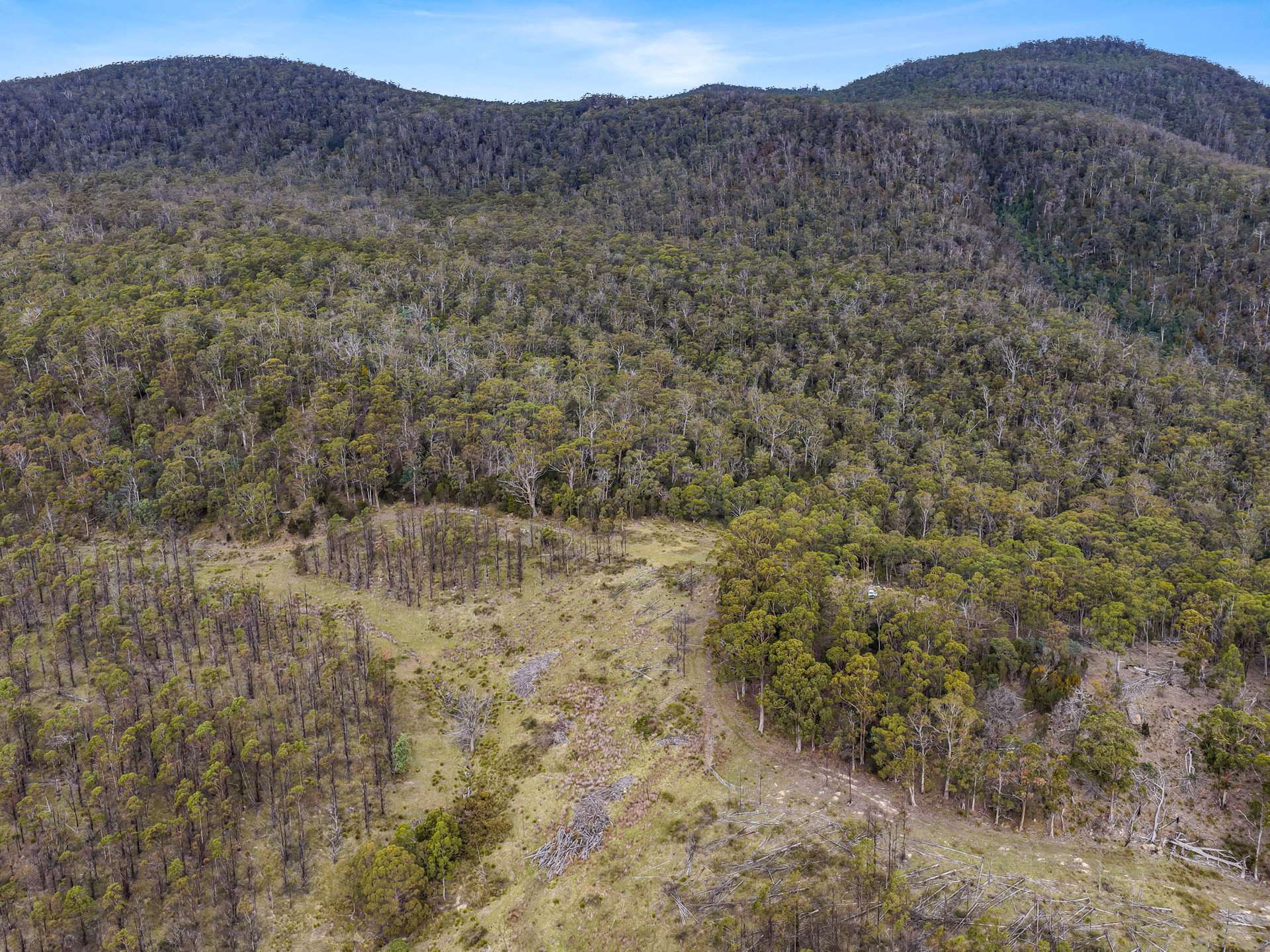Lot 7, 524 Rosedale Road, Bicheno For Sale by Farmbuy.com - image 7