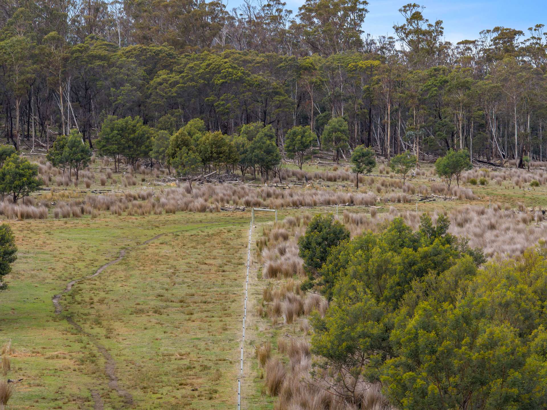 Lot 7, 524 Rosedale Road, Bicheno For Sale by Farmbuy.com - image 5