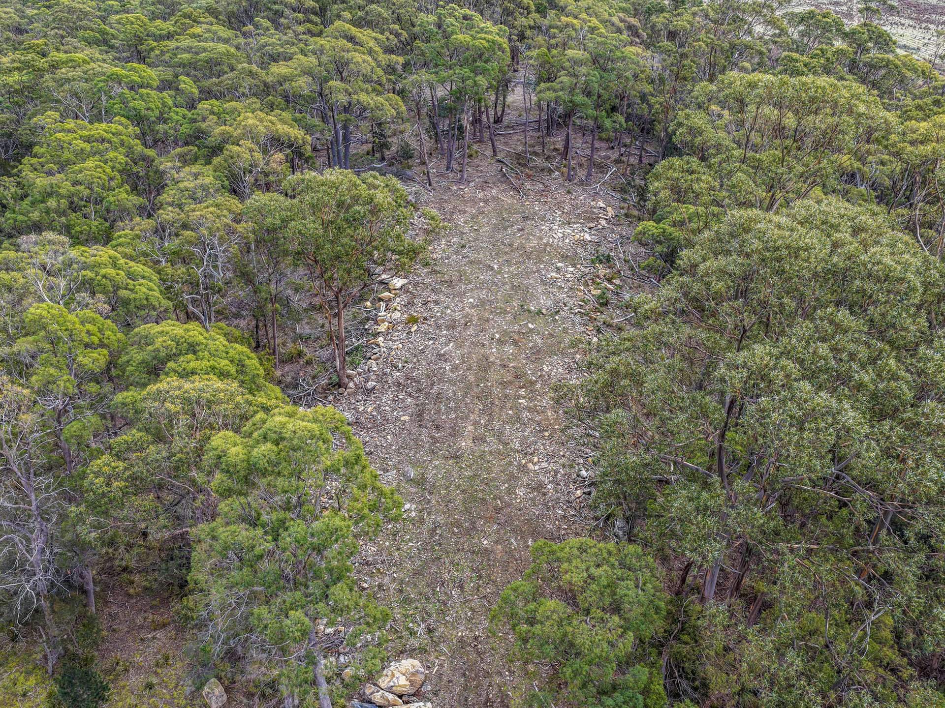 Lot 7, 524 Rosedale Road, Bicheno For Sale by Farmbuy.com - image 3