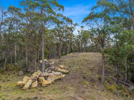Farm For Sale - TAS - Bicheno - 7215 - Privacy In A Bush Setting 