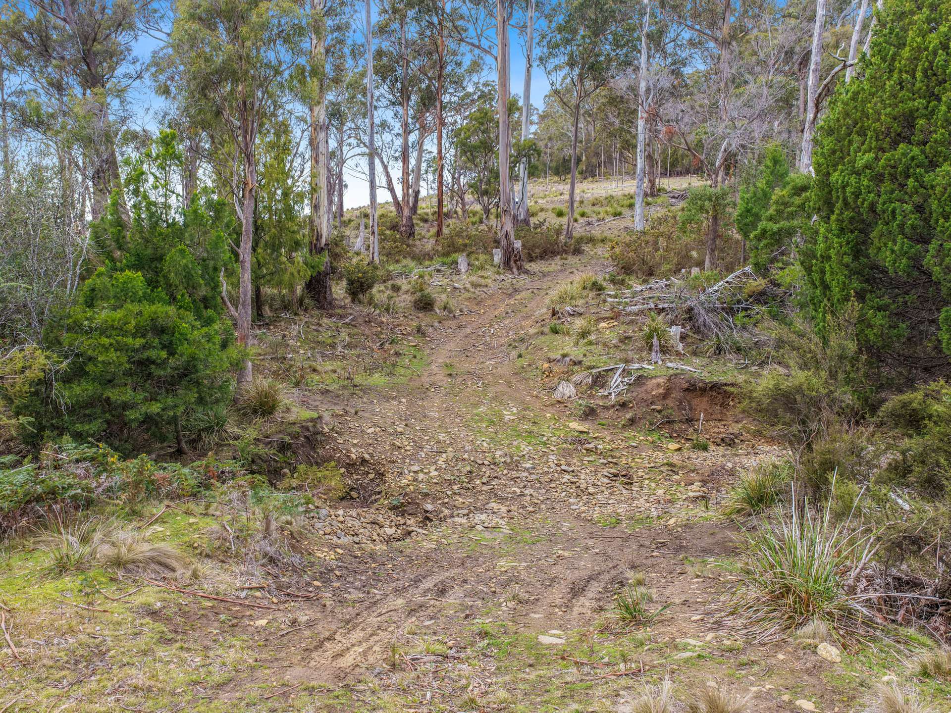 Lot 9, 524 Rosedale Road, Bicheno For Sale by Farmbuy.com - image 9