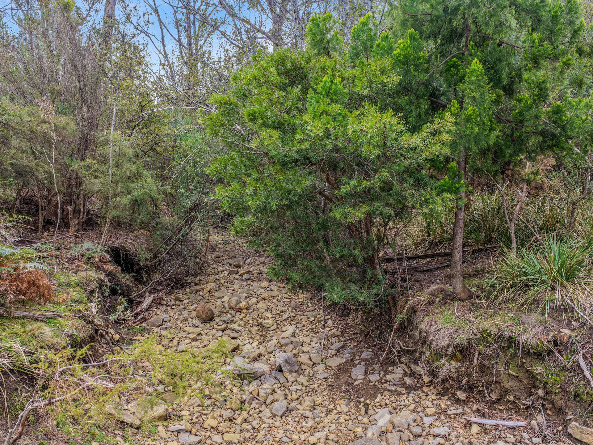 Lot 9, 524 Rosedale Road, Bicheno For Sale by Farmbuy.com - image 10
