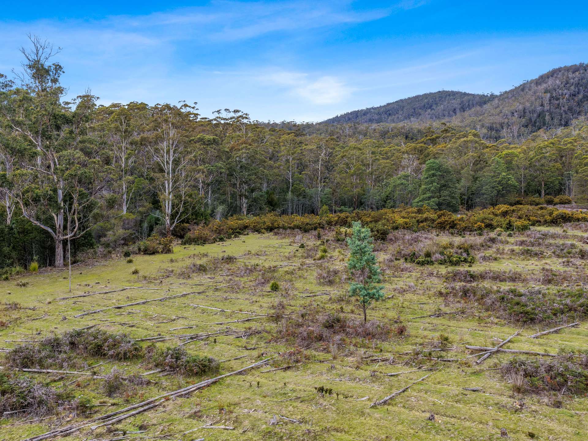 Lot 9, 524 Rosedale Road, Bicheno For Sale by Farmbuy.com - image 5