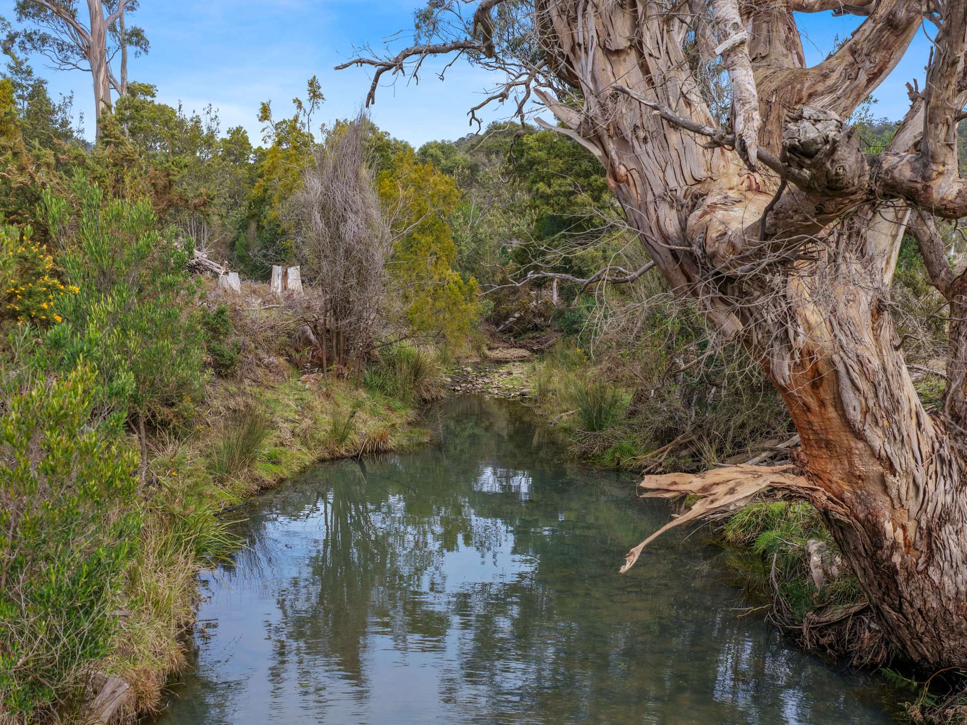 Lot 9, 524 Rosedale Road, Bicheno For Sale by Farmbuy.com - image 1