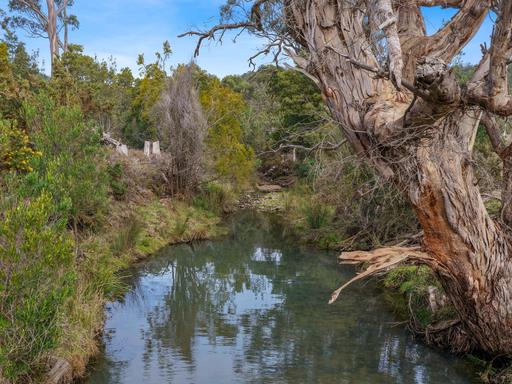 Farm For Sale - TAS - Bicheno - 7215 - Creek, Pasture, Bush and Privacy 