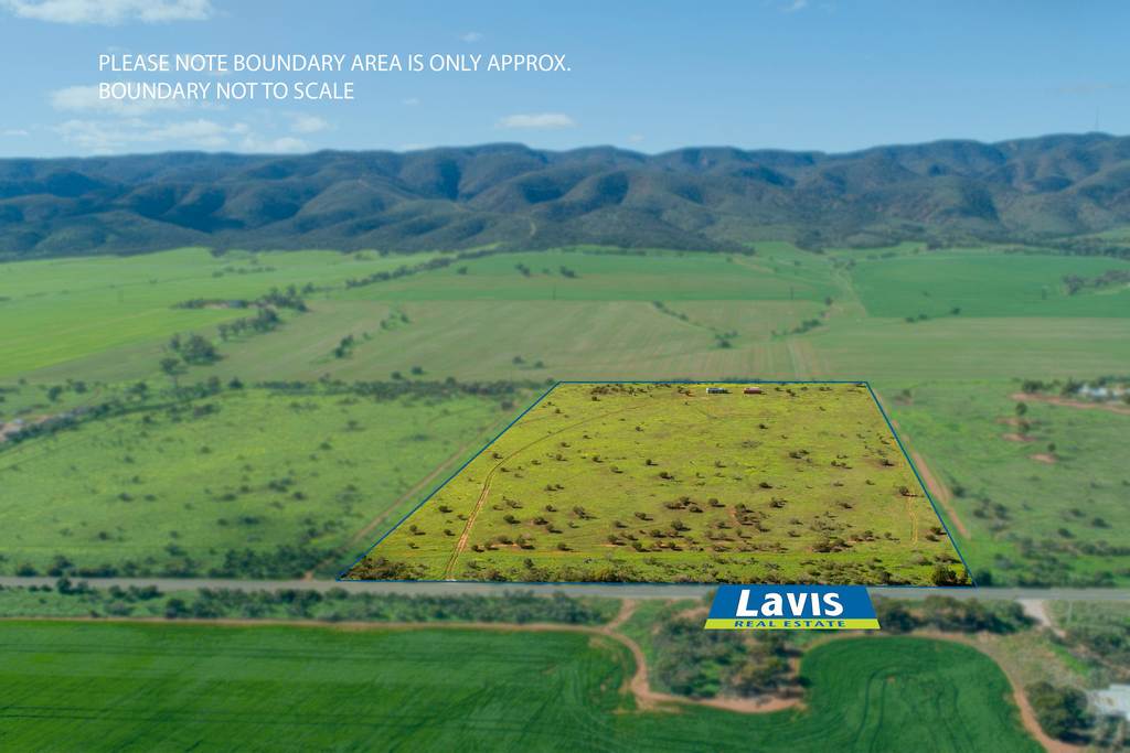 Lot 559 Telowie Road, Telowie SA 5540