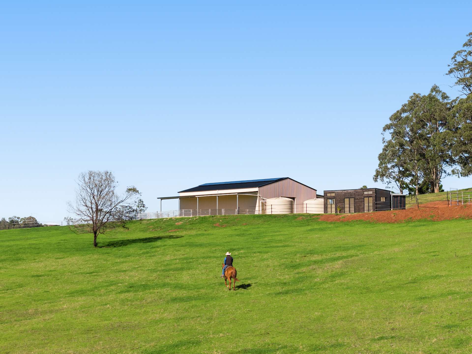 'Pine Valley Ranch' 176 McMullen Road, Hampton For Sale by Farmbuy.com - image 5