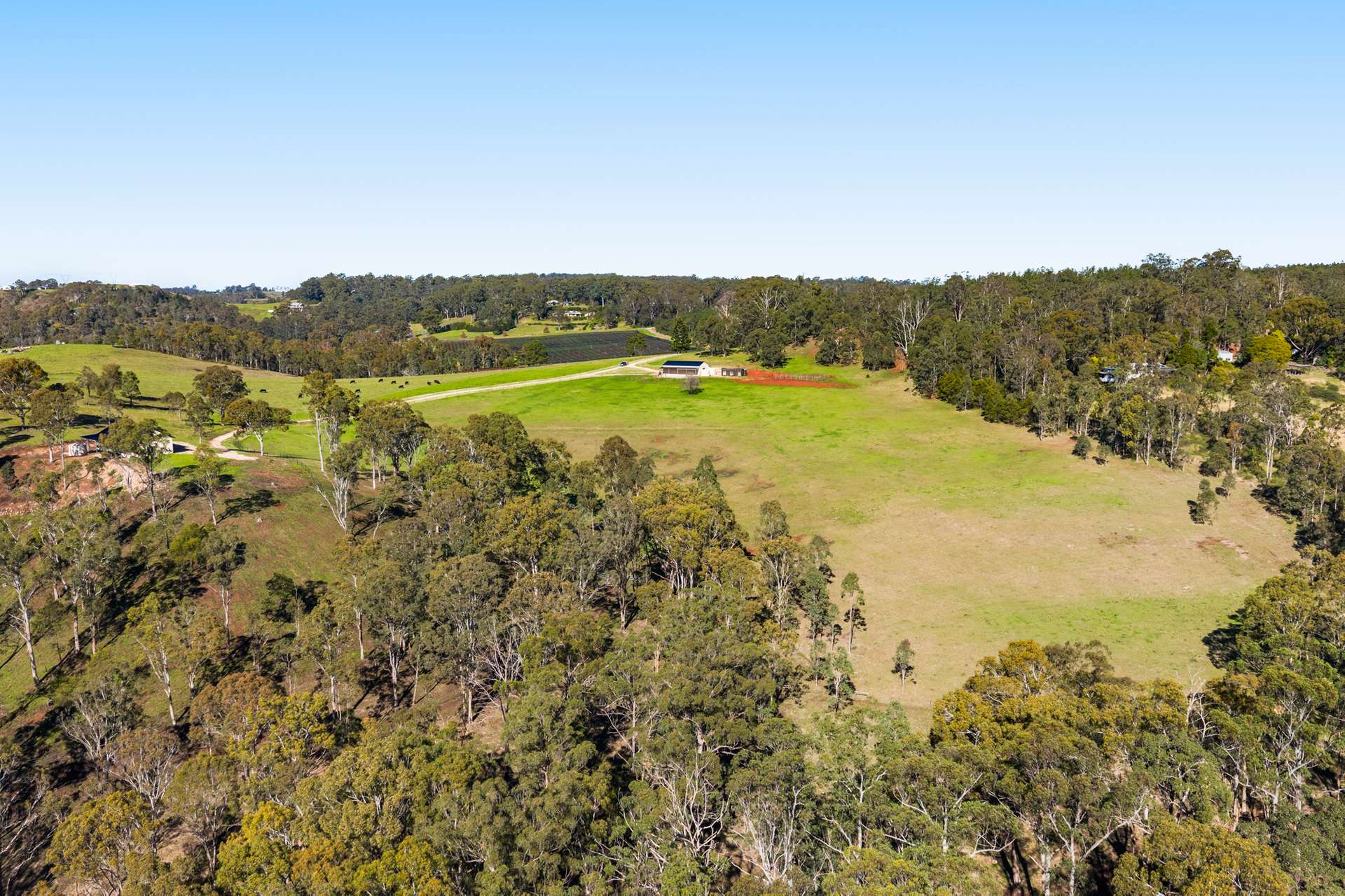 'Pine Valley Ranch' 176 McMullen Road, Hampton For Sale by Farmbuy.com - image 9