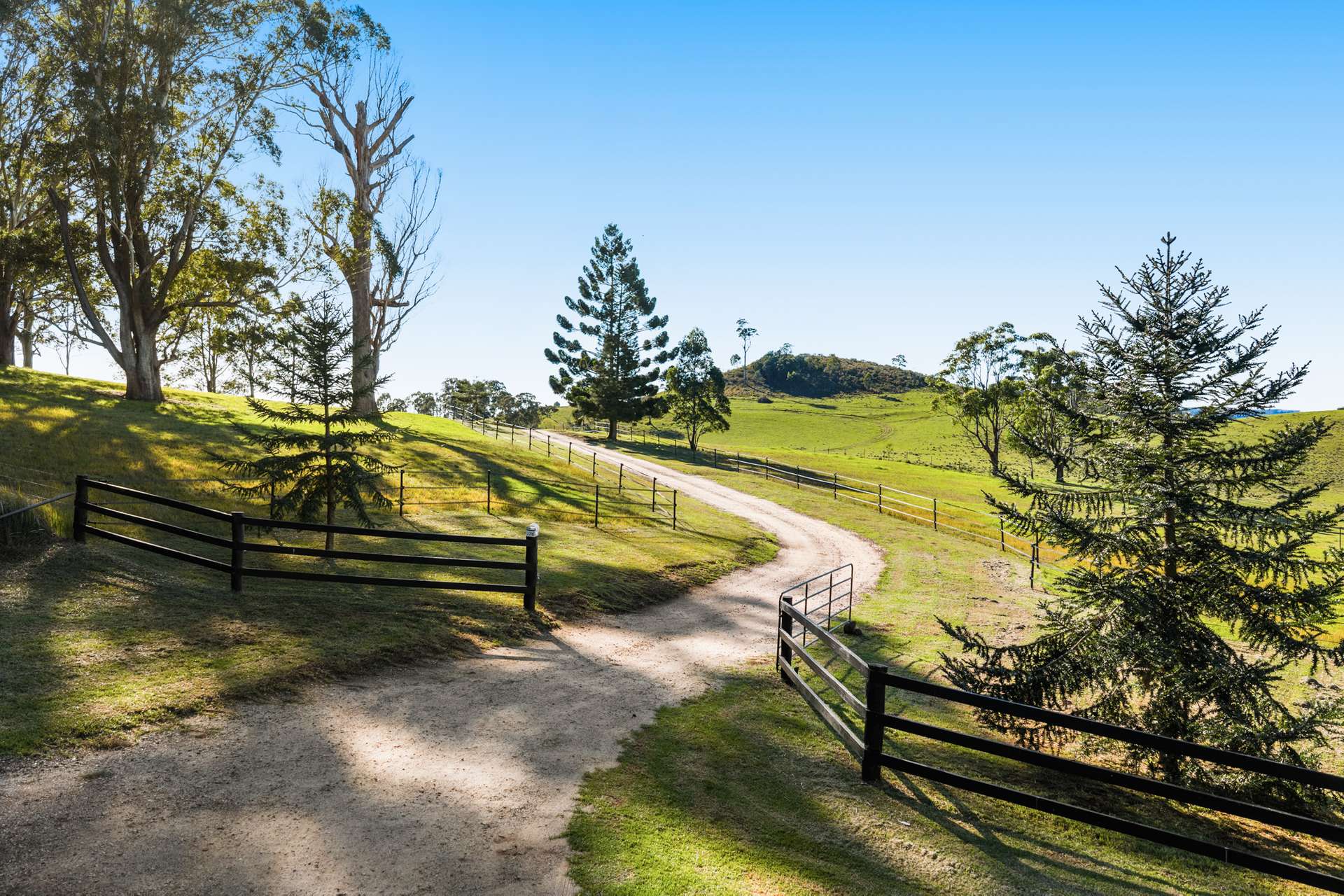 'Pine Valley Ranch' 176 McMullen Road, Hampton For Sale by Farmbuy.com - image 4