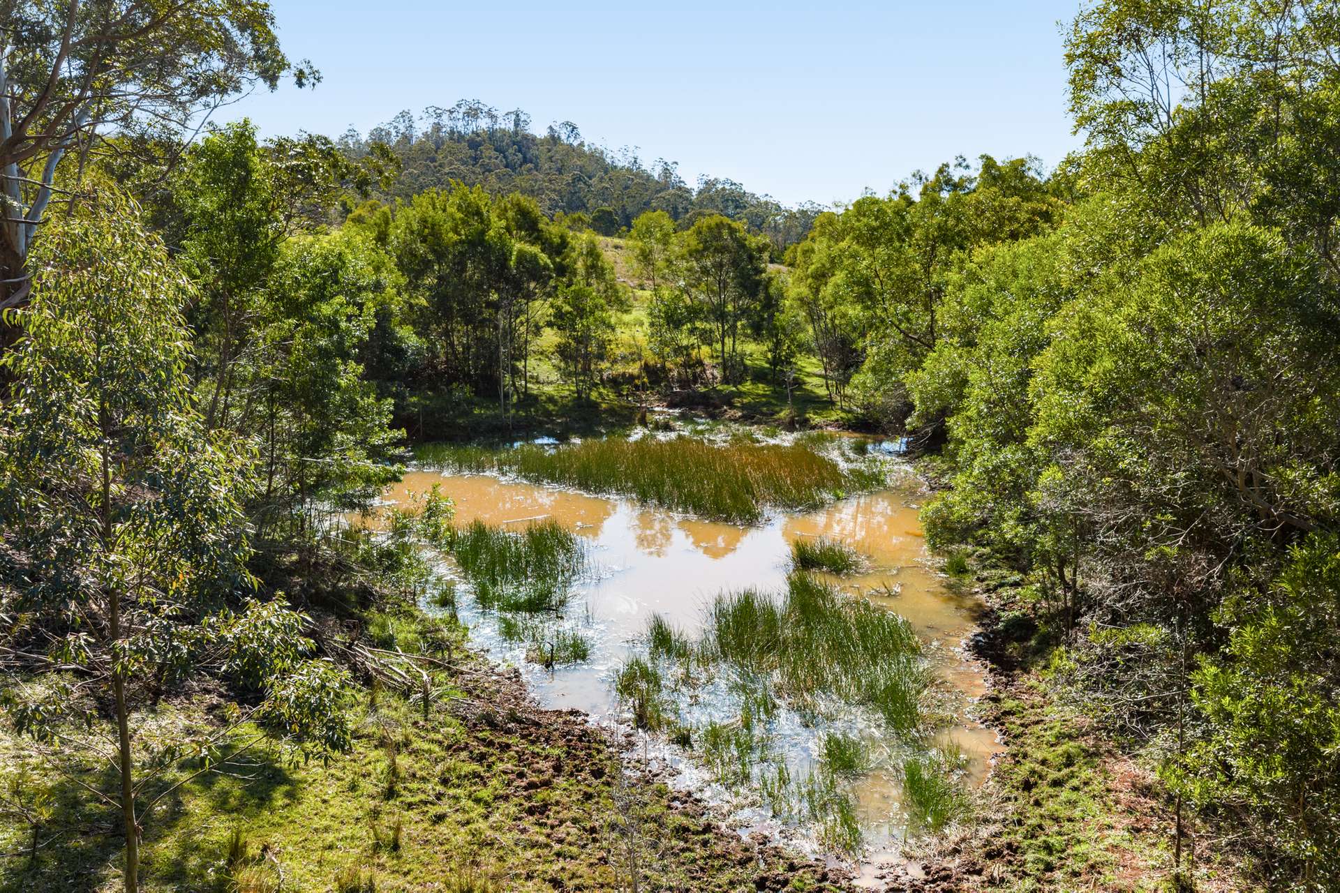 'Pine Valley Ranch' 176 McMullen Road, Hampton For Sale by Farmbuy.com - image 16