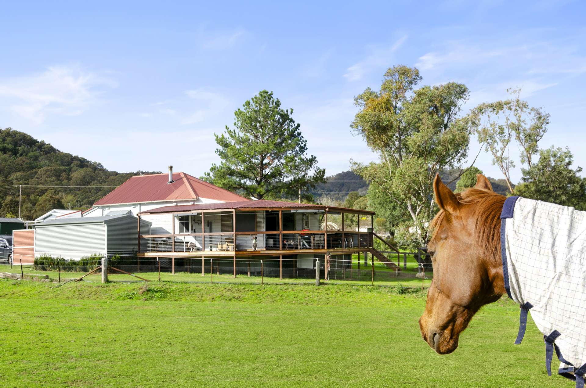 45 Bernard Street, Murrurundi For Sale by Farmbuy.com - image 24