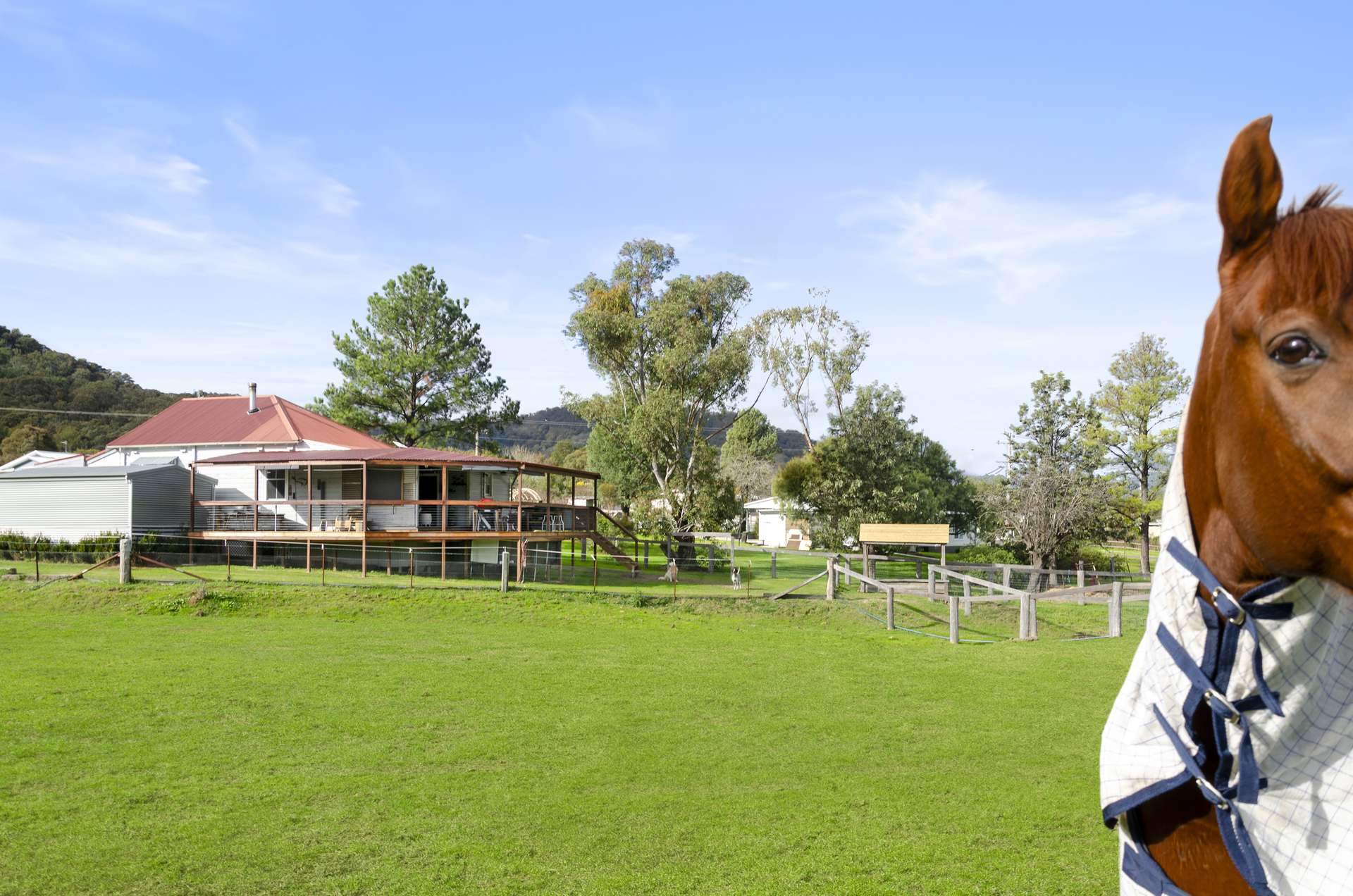 45 Bernard Street, Murrurundi For Sale by Farmbuy.com - image 23