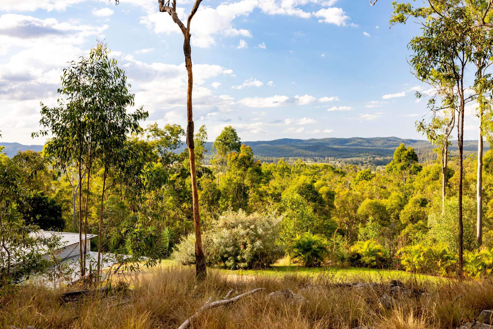 350 Hoopers Road, Curra For Sale by Farmbuy.com - image 2