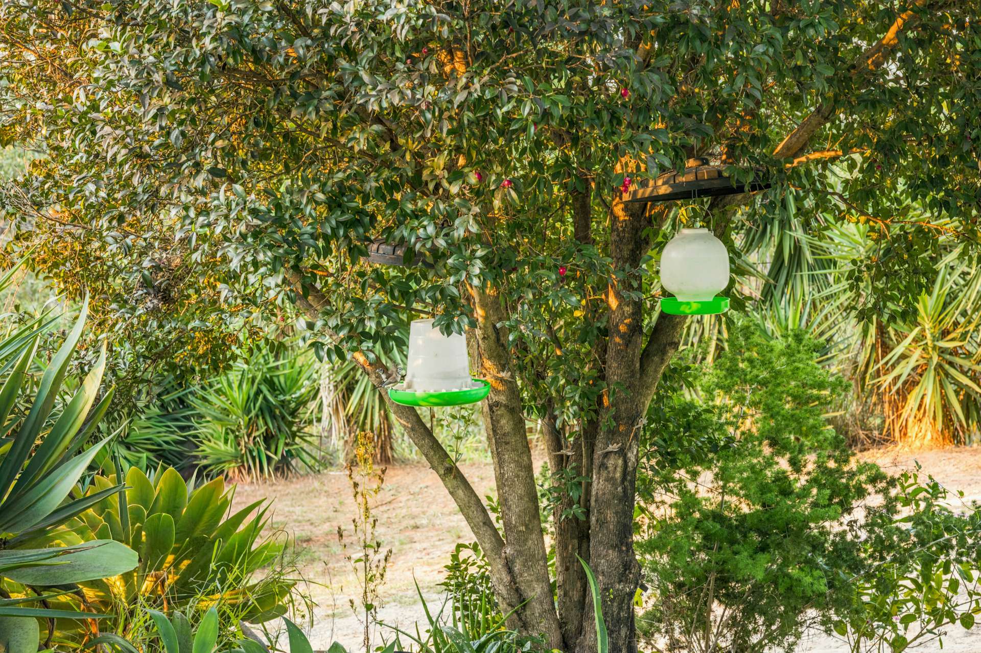 350 Hoopers Road, Curra For Sale by Farmbuy.com - image 35