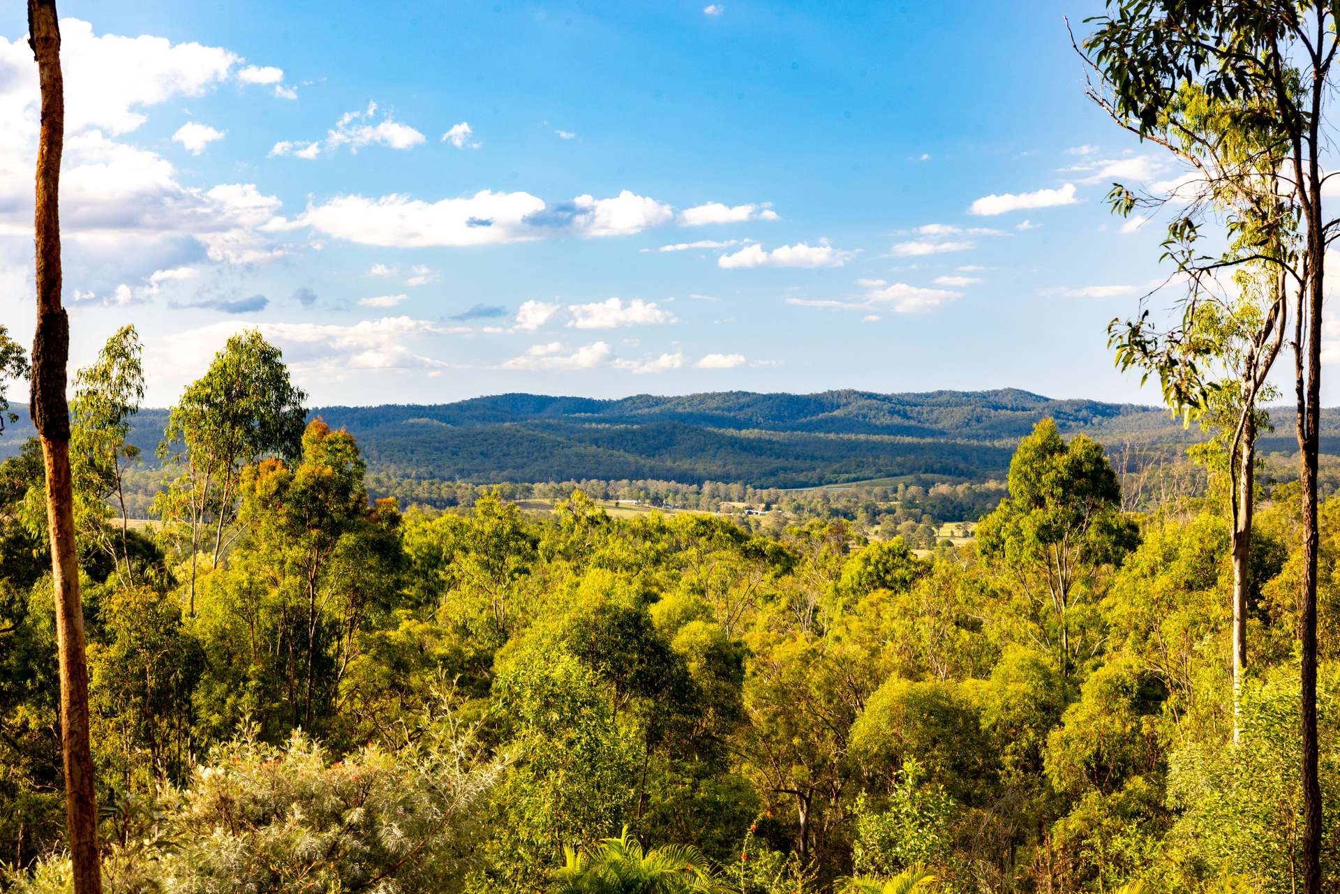 350 Hoopers Road, Curra For Sale by Farmbuy.com - image 30