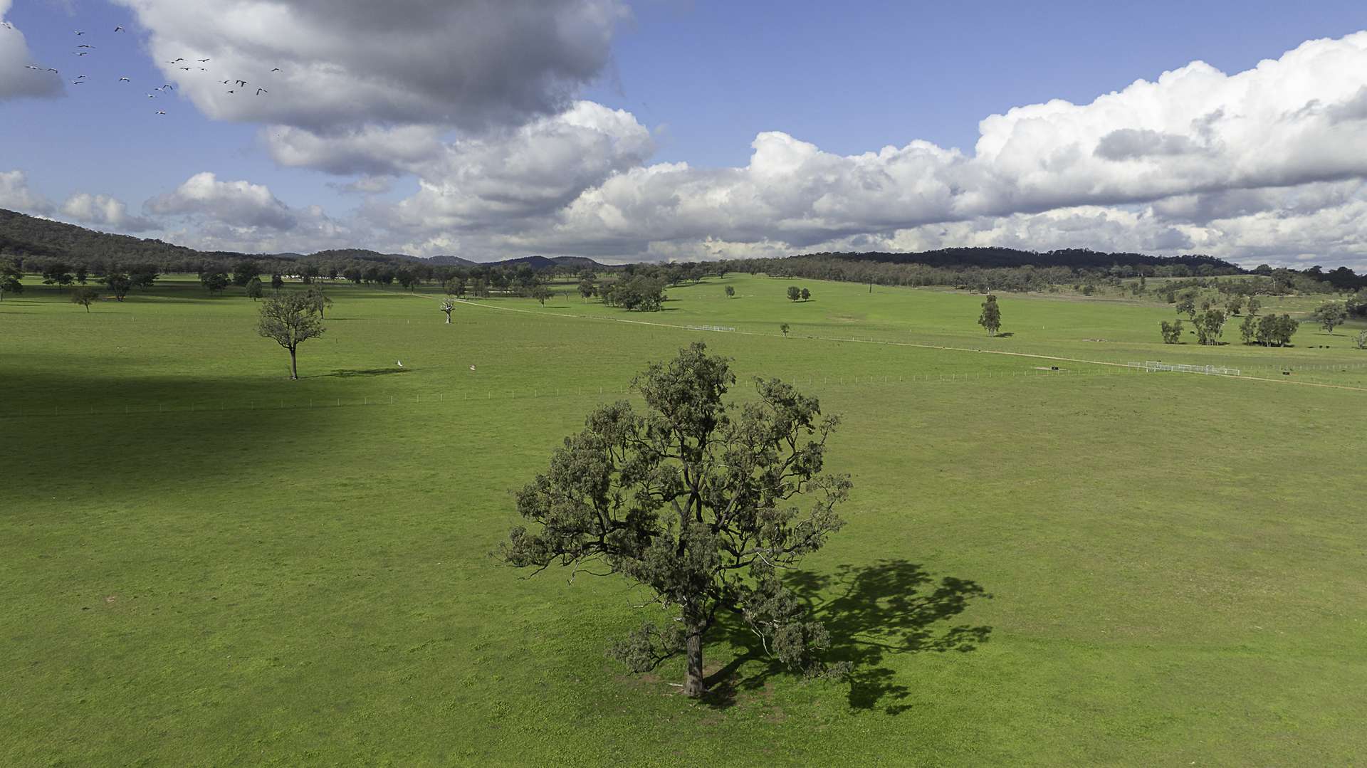 390 Westwood Road, Merriwa For Sale by Farmbuy.com - image 7