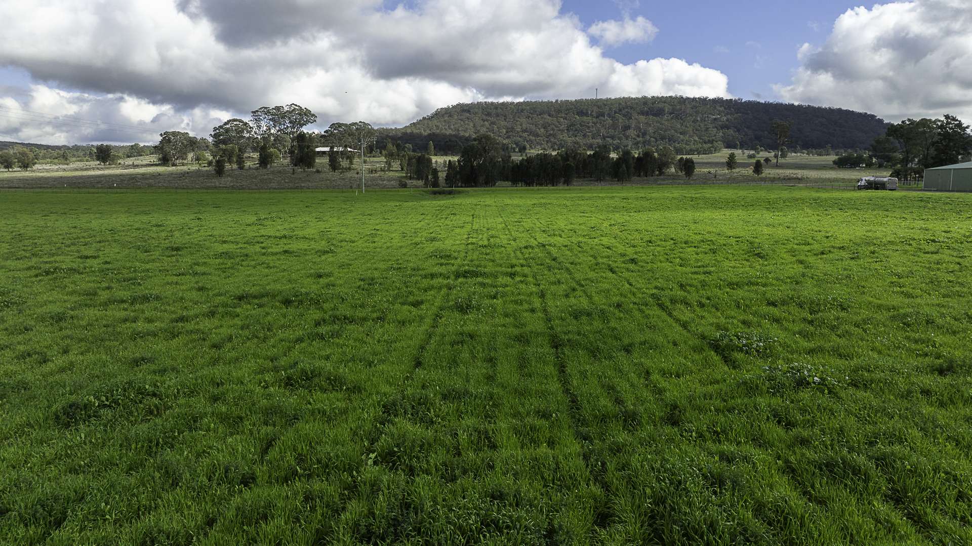390 Westwood Road, Merriwa For Sale by Farmbuy.com - image 10