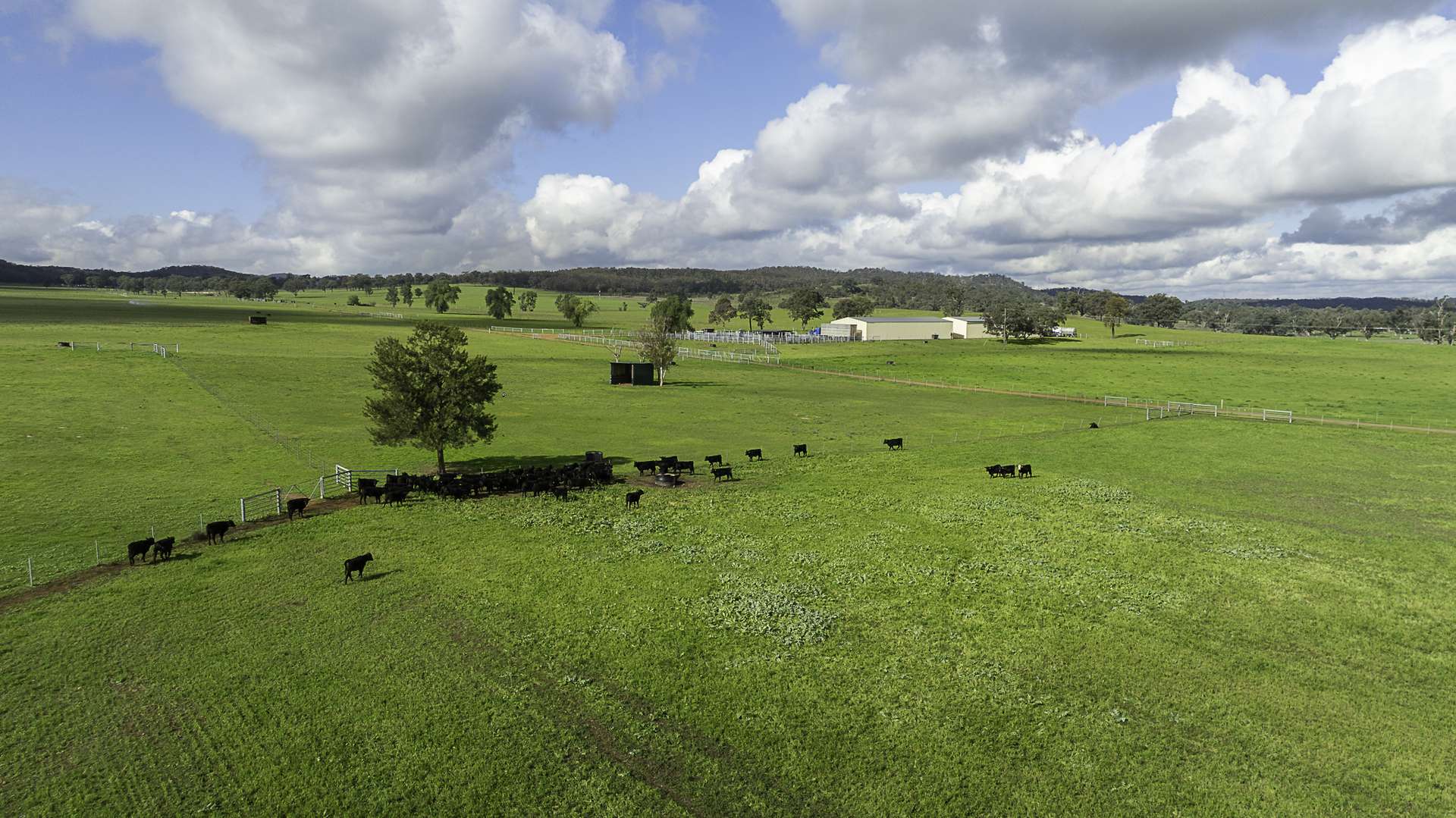 390 Westwood Road, Merriwa For Sale by Farmbuy.com - image 3