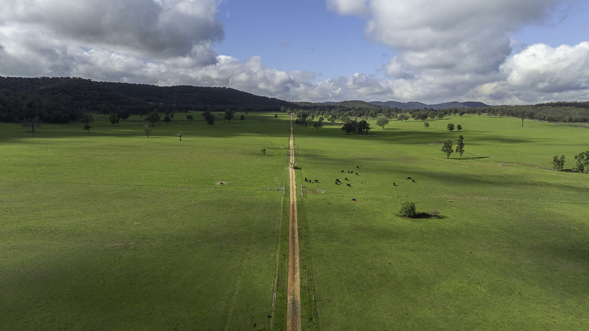 390 Westwood Road, Merriwa For Sale by Farmbuy.com - image 5