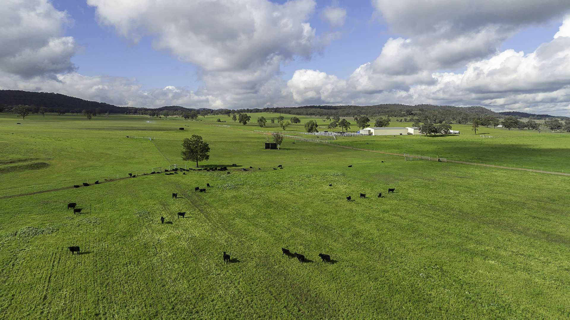 390 Westwood Road, Merriwa For Sale by Farmbuy.com - image 9