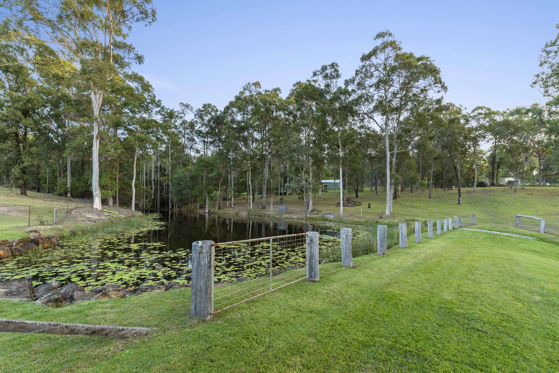 149 Green Trees Road, Pie Creek For Sale by Farmbuy.com - image 24