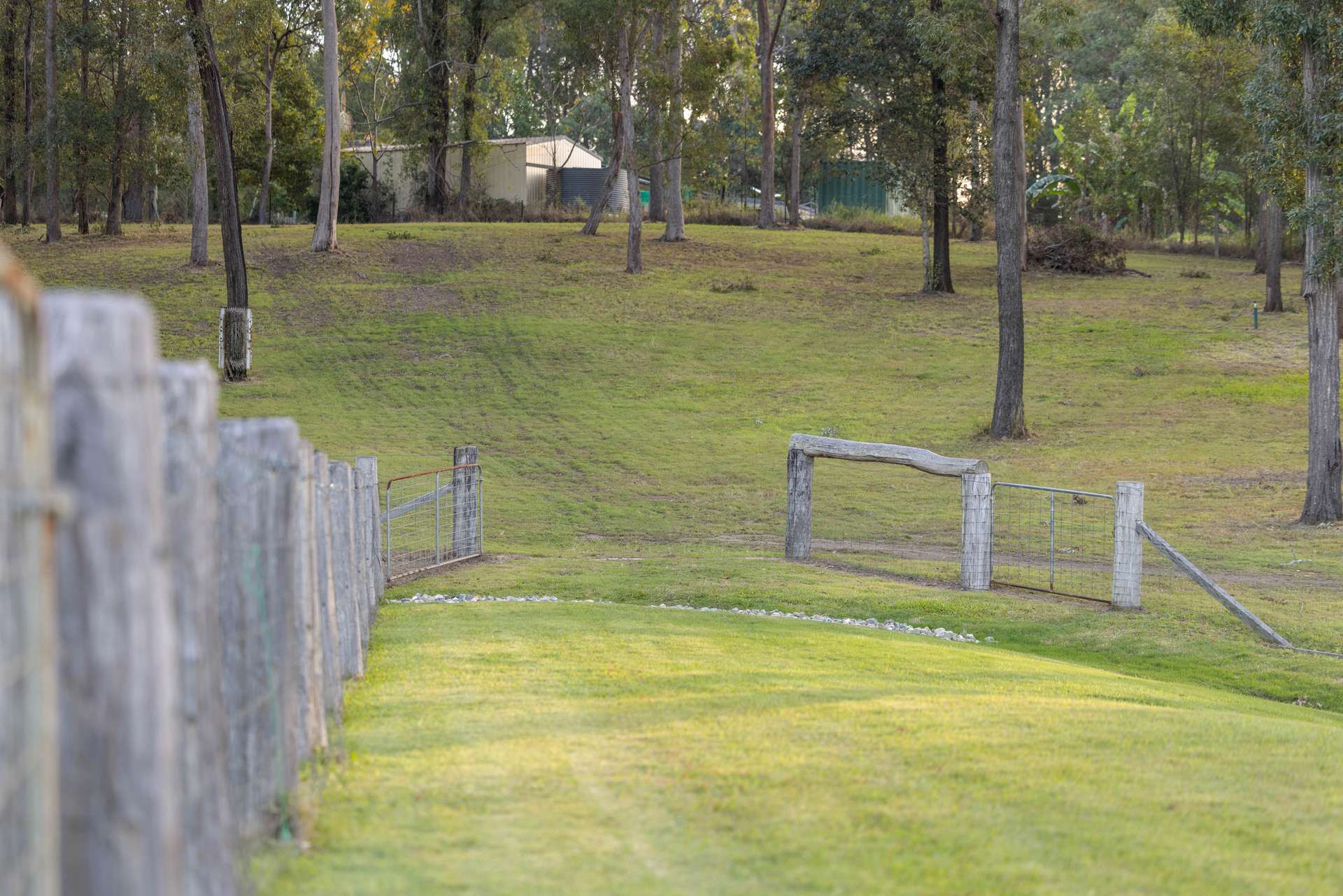 149 Green Trees Road, Pie Creek For Sale by Farmbuy.com - image 23
