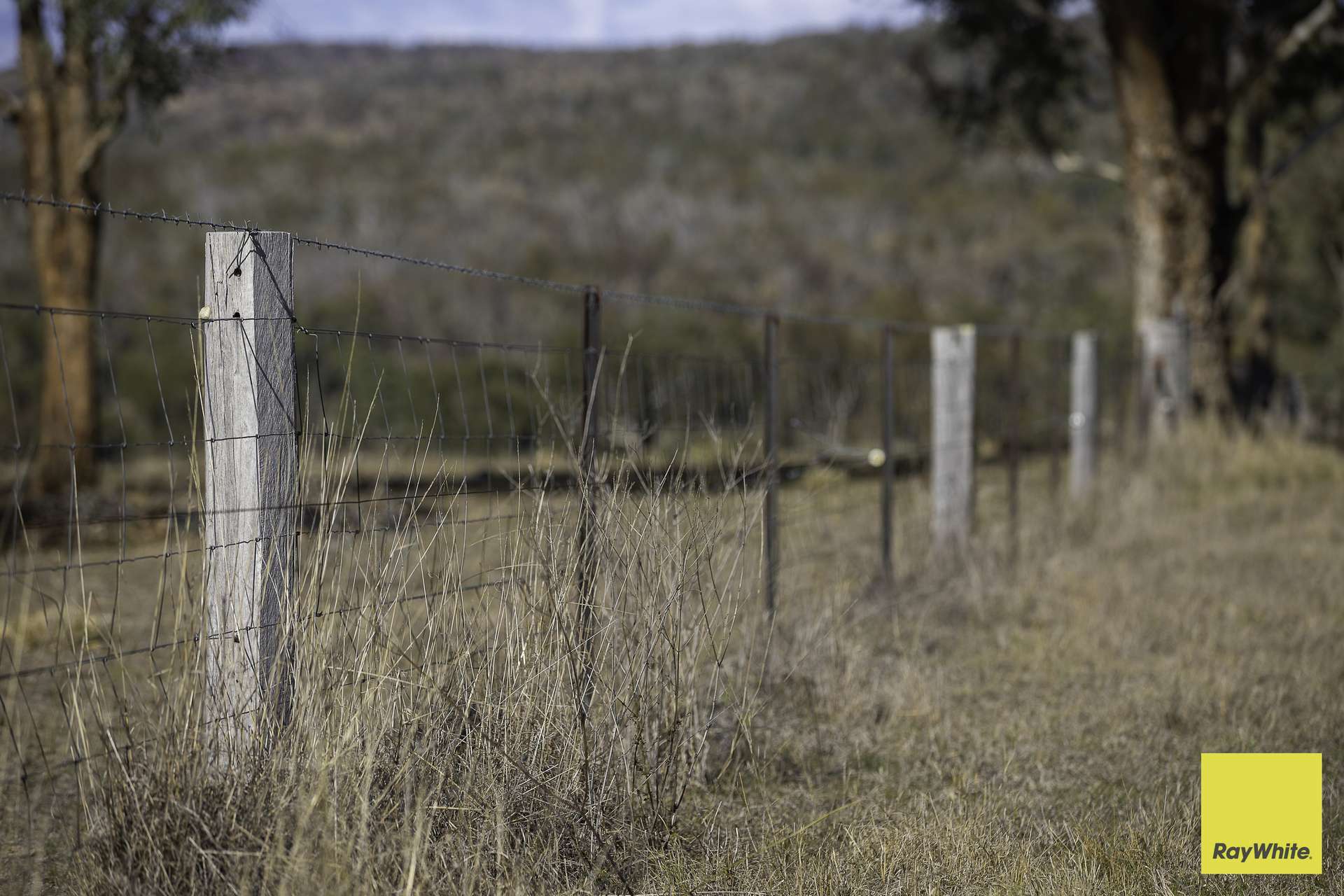 594 Elsmore Road, Inverell For Sale by Farmbuy.com - image 7