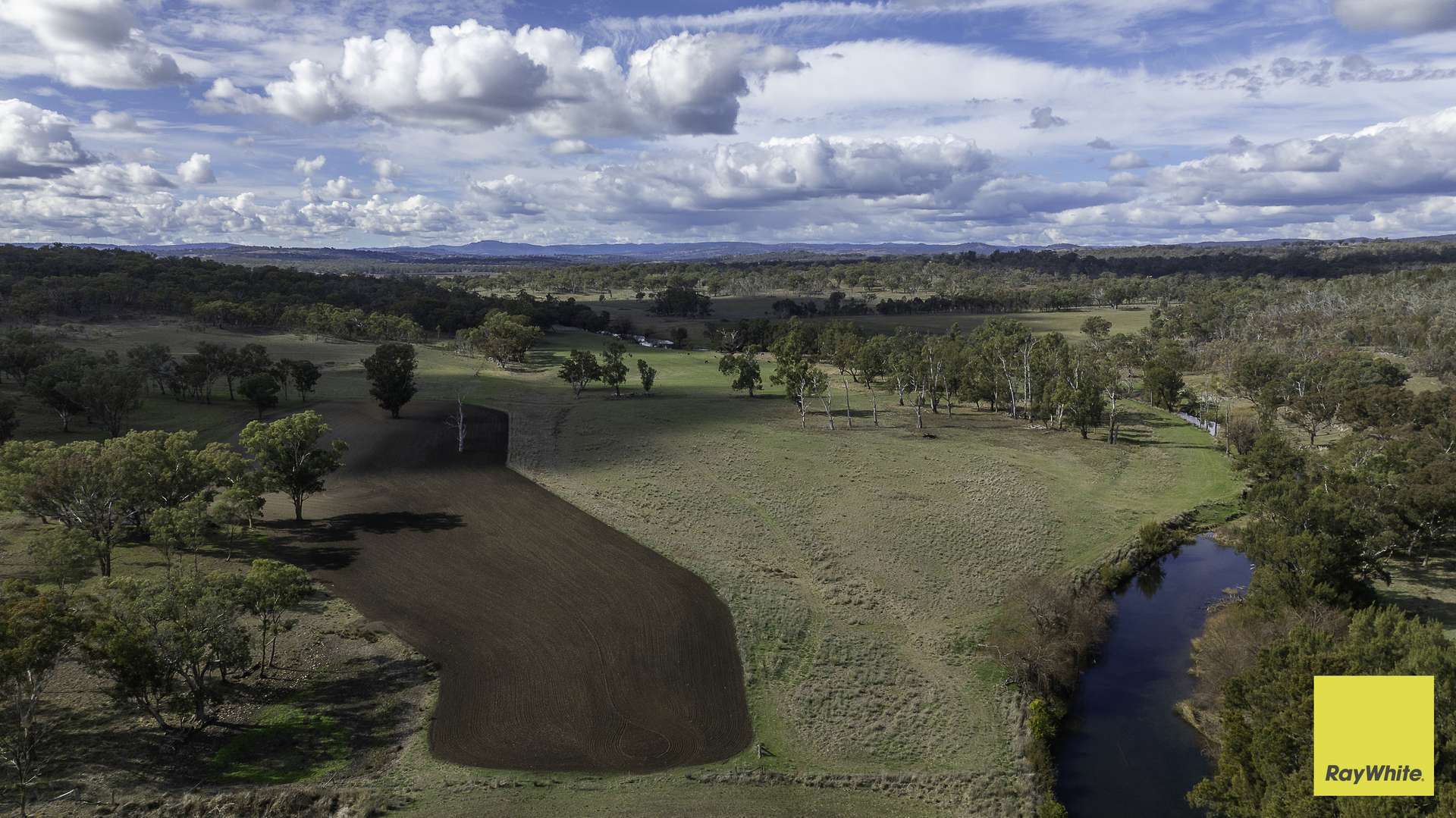 594 Elsmore Road, Inverell For Sale by Farmbuy.com - image 5