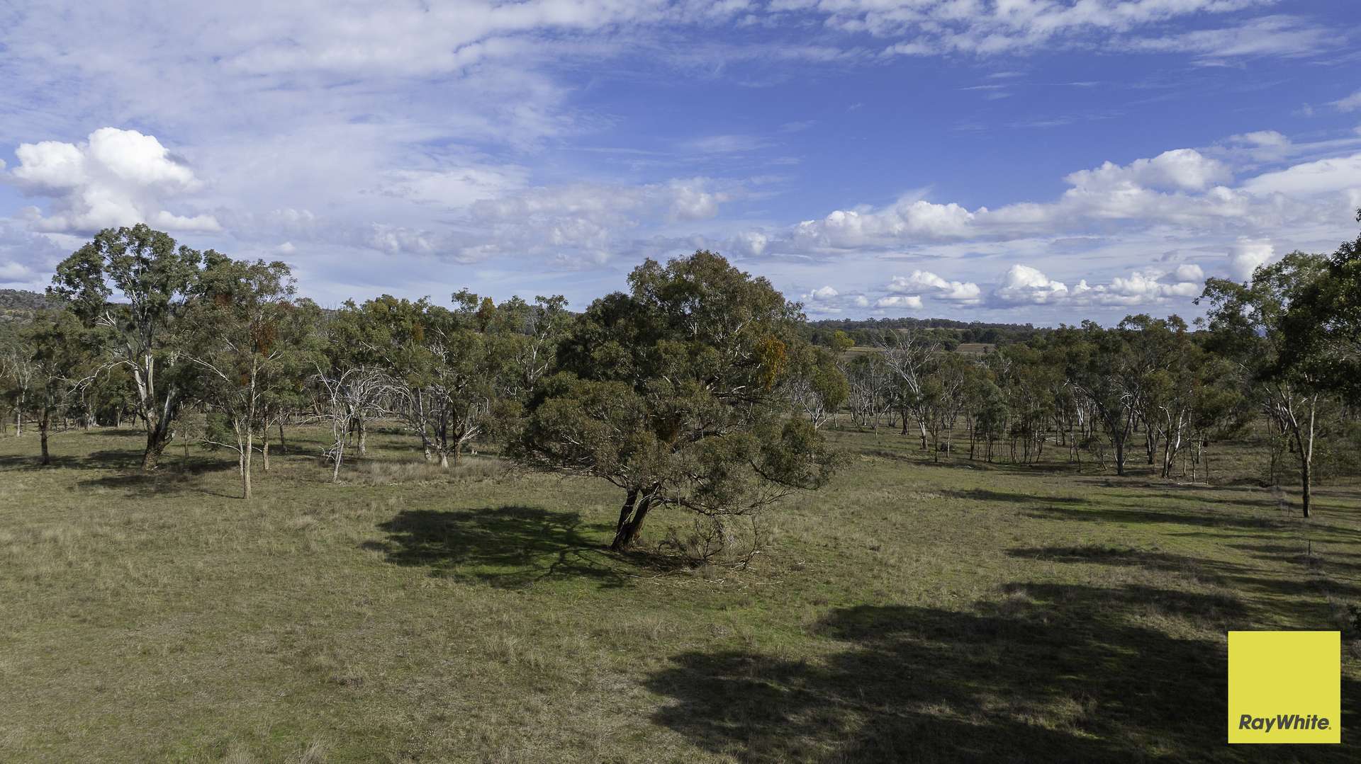 594 Elsmore Road, Inverell For Sale by Farmbuy.com - image 10