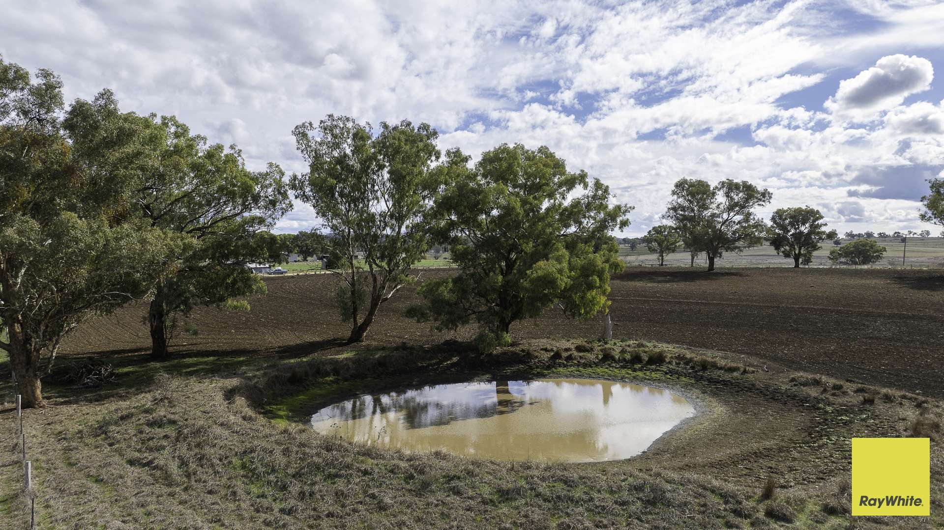 594 Elsmore Road, Inverell For Sale by Farmbuy.com - image 16