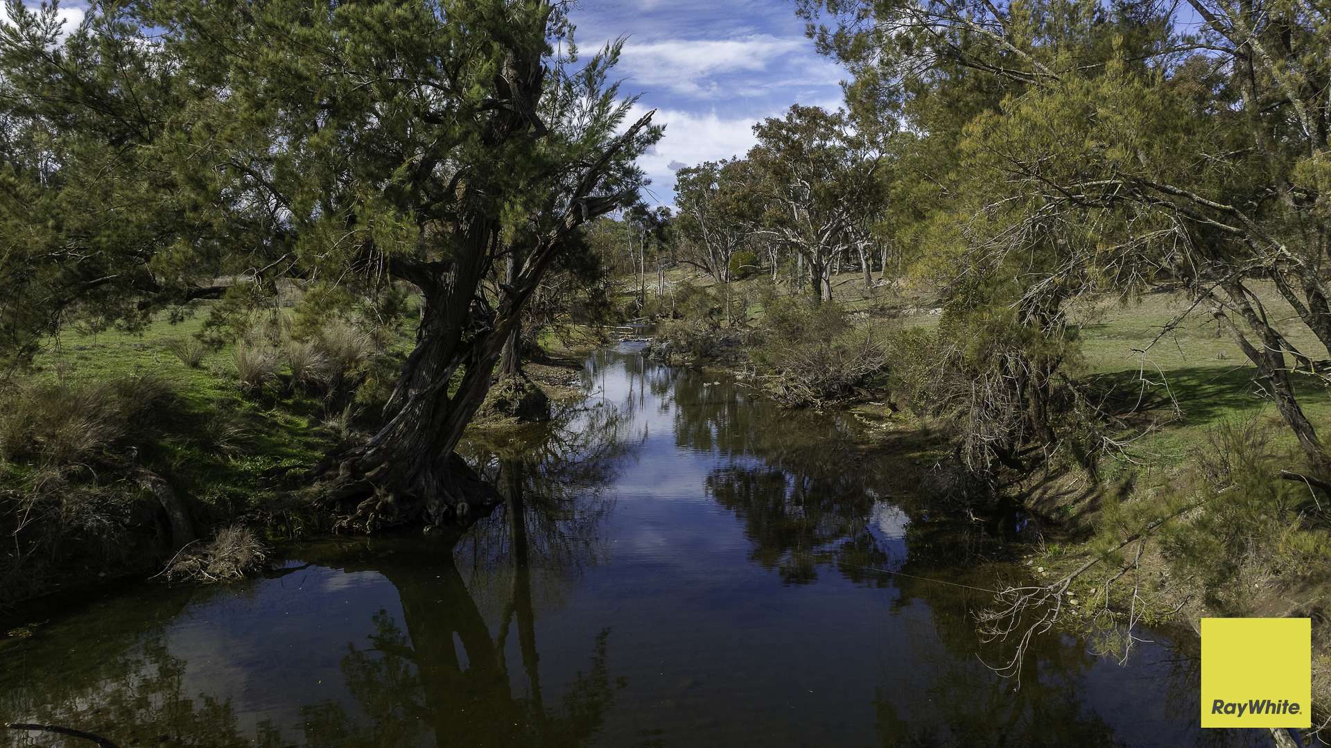 594 Elsmore Road, Inverell For Sale by Farmbuy.com - image 1