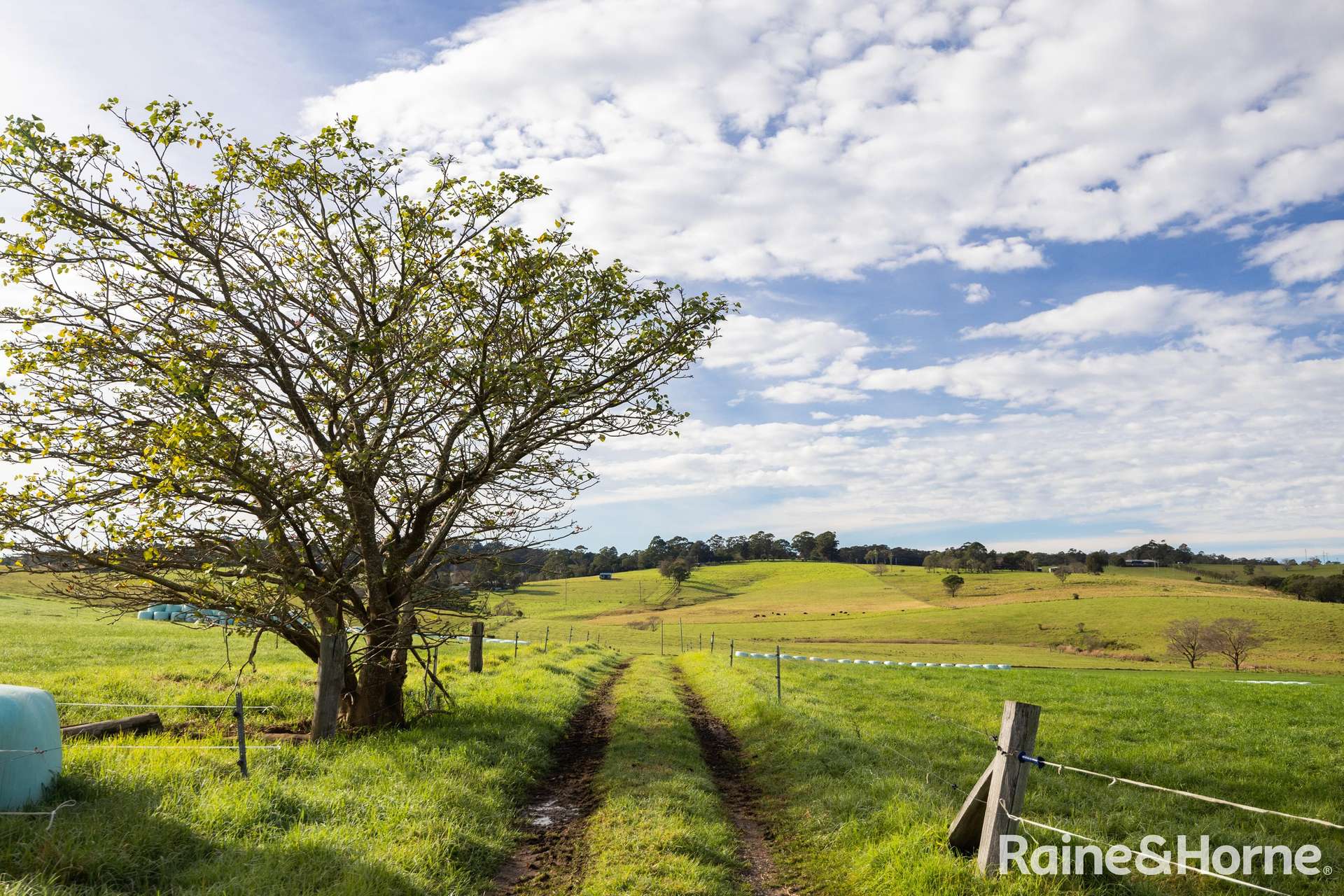 133 Woodstock Road, Milton For Sale by Farmbuy.com - image 11