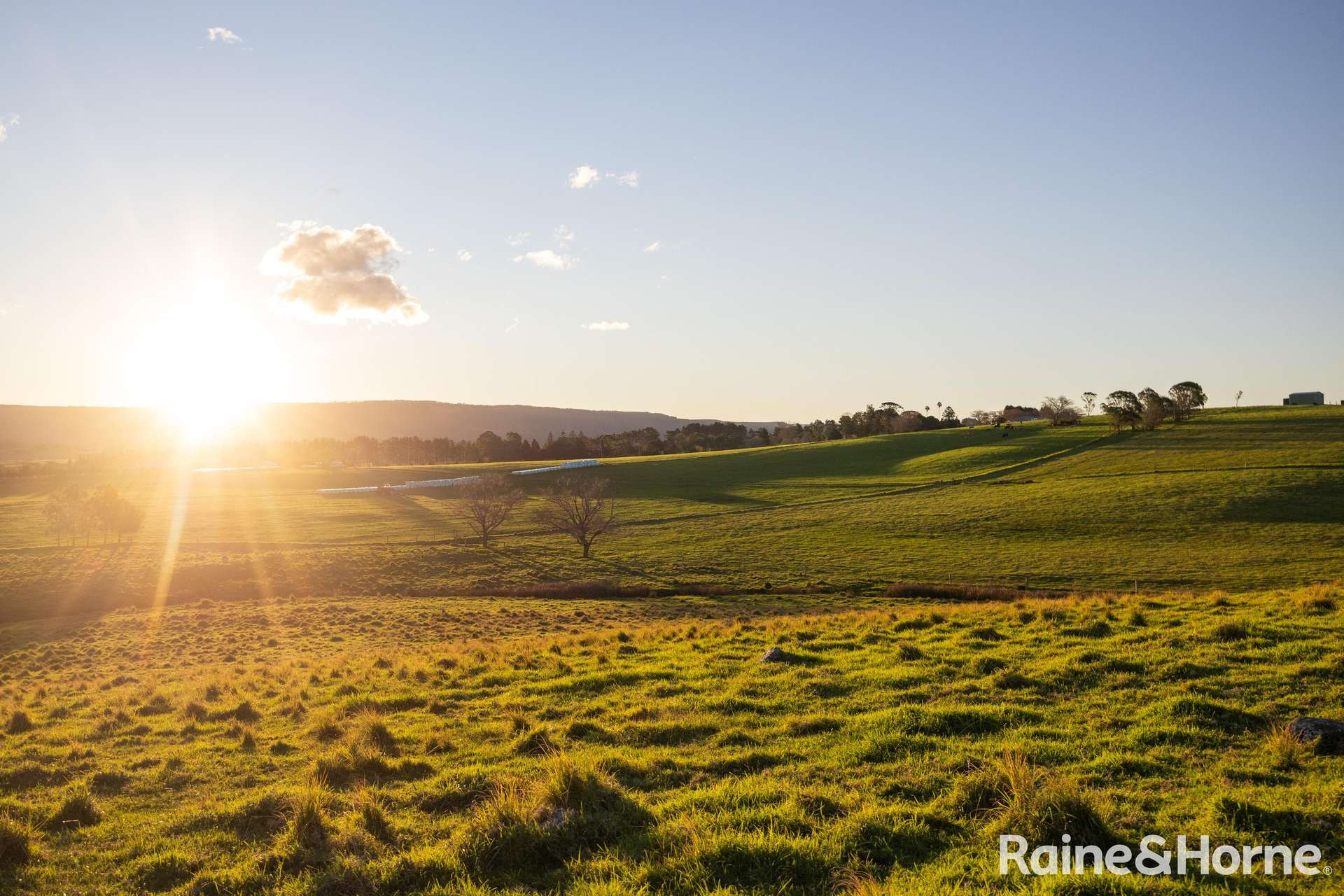 133 Woodstock Road, Milton For Sale by Farmbuy.com - image 23