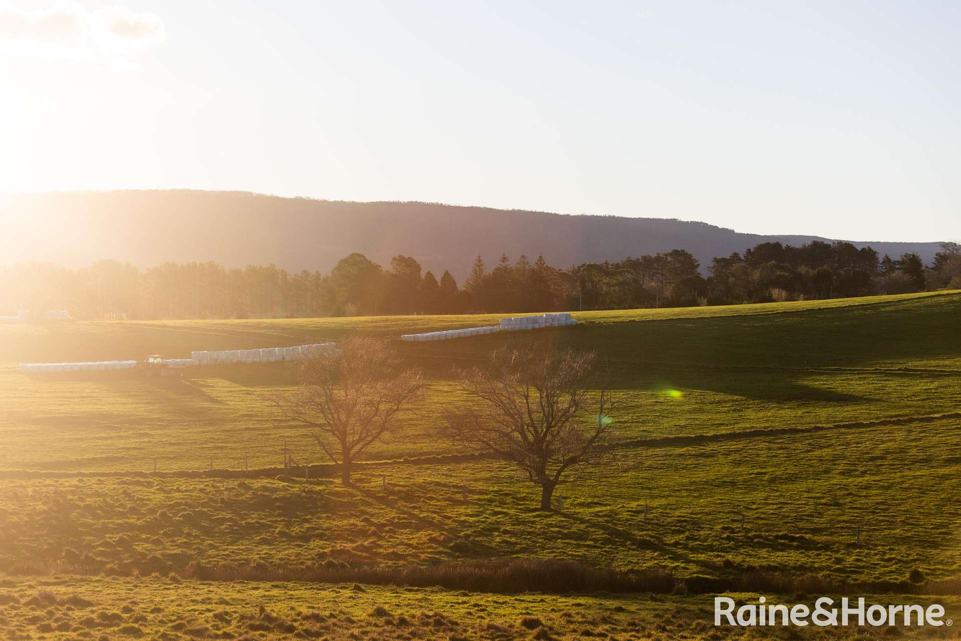 133 Woodstock Road, Milton For Sale by Farmbuy.com - image 22