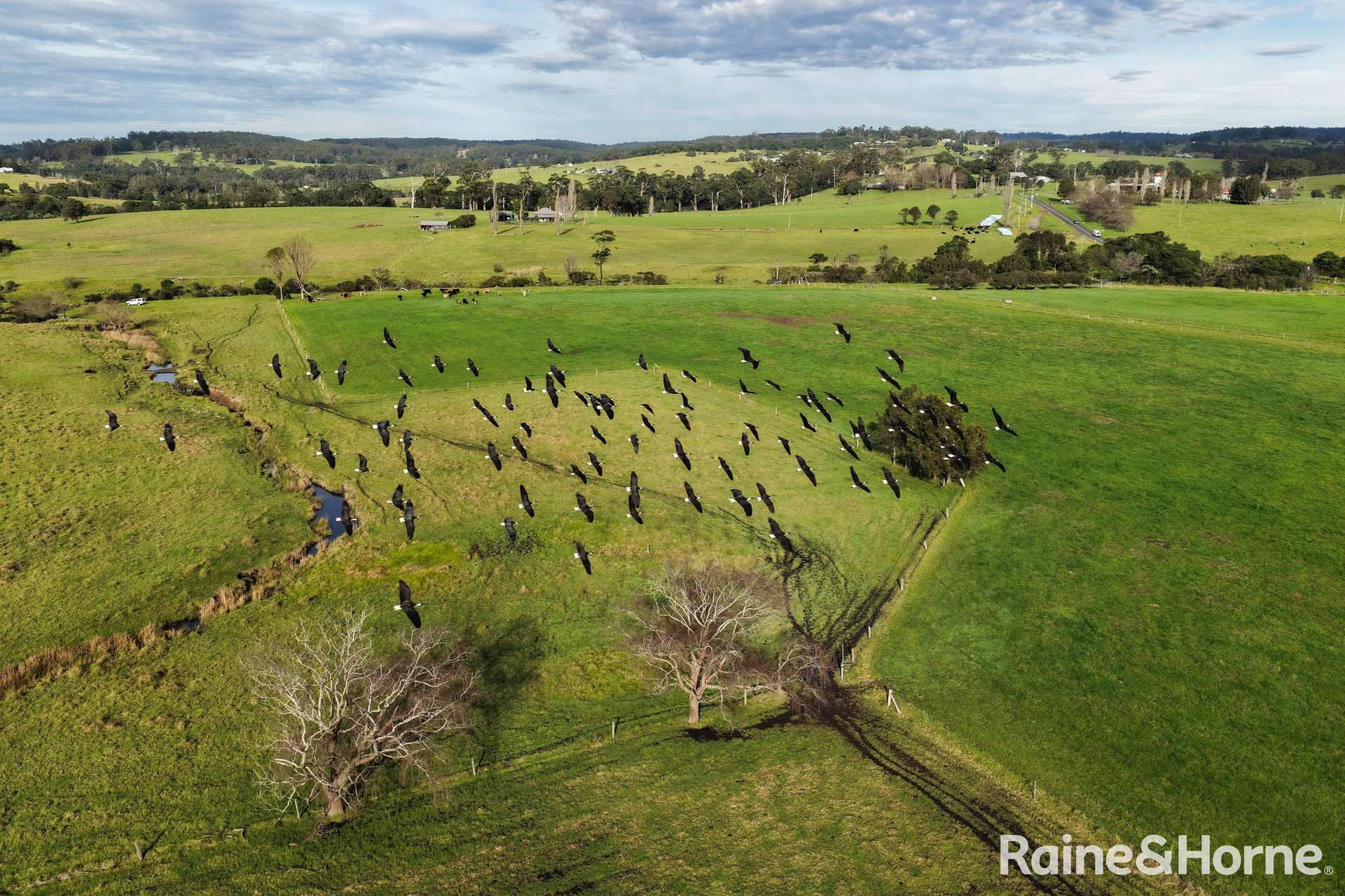 133 Woodstock Road, Milton For Sale by Farmbuy.com - image 13