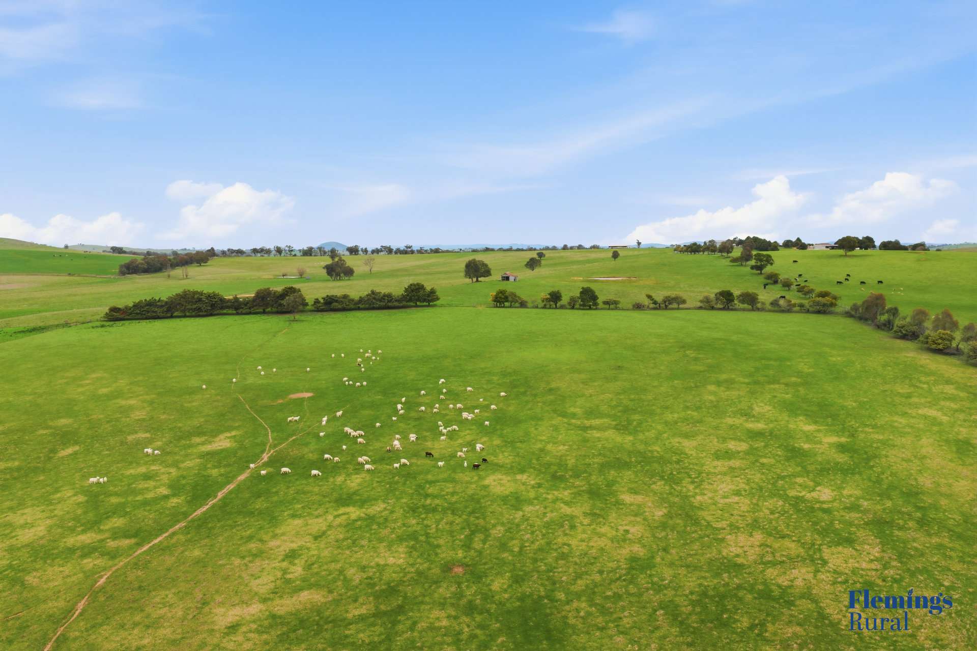 45 Moorbys Lane, Bowning For Sale by Farmbuy.com - image 6