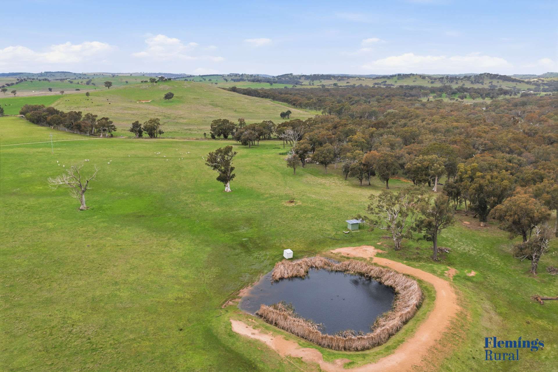 45 Moorbys Lane, Bowning For Sale by Farmbuy.com - image 9