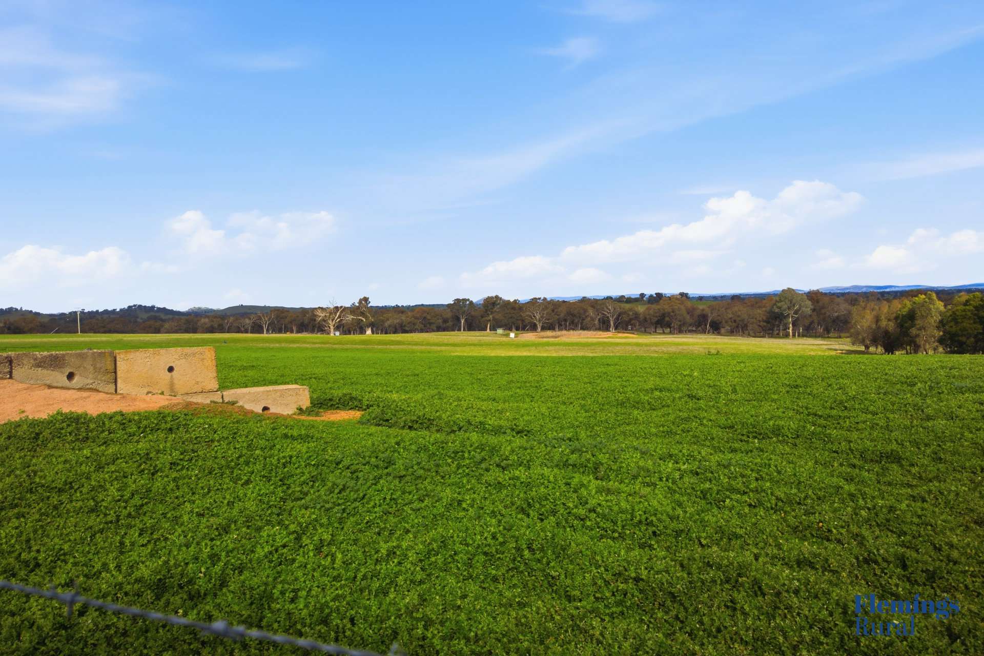 45 Moorbys Lane, Bowning For Sale by Farmbuy.com - image 15