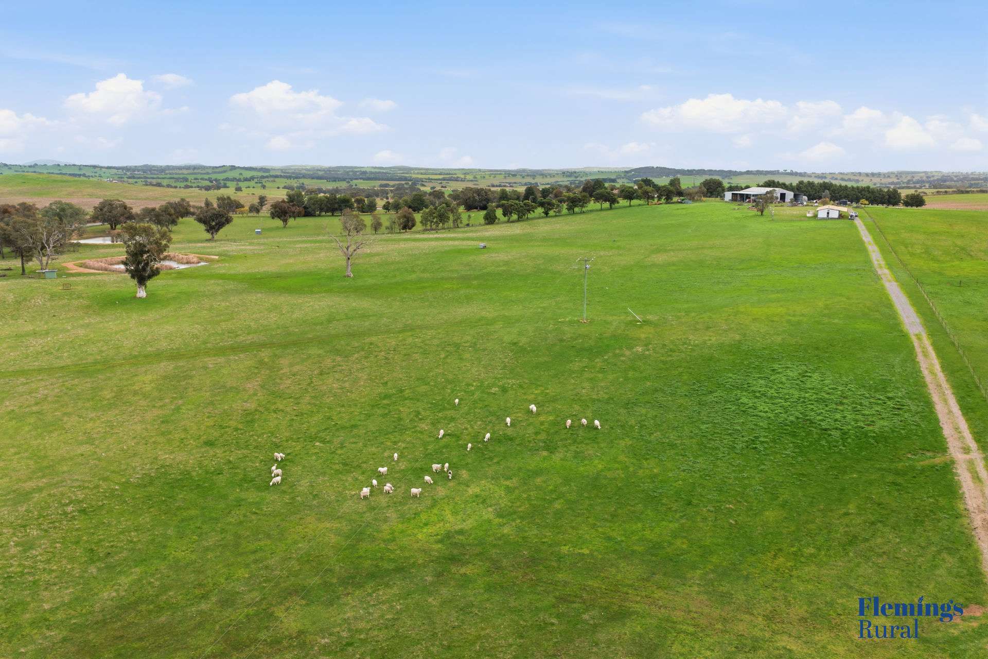45 Moorbys Lane, Bowning For Sale by Farmbuy.com - image 12