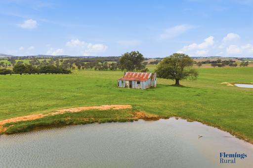 Farm For Sale - NSW - Bowning - 2582 - Productive Rural Property with Exceptional Homesite Potential 