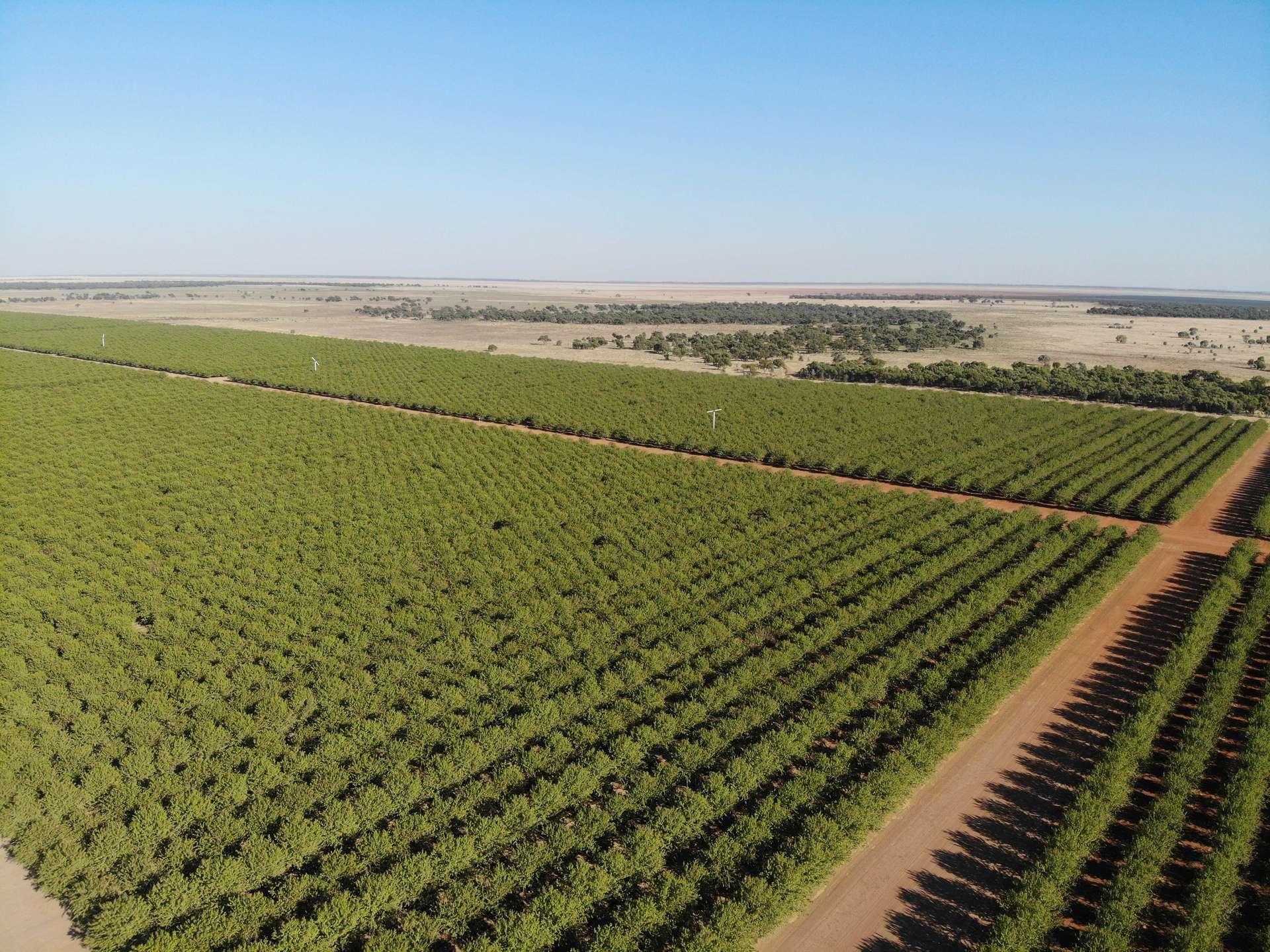 Hillston For Sale by Farmbuy.com - image 2