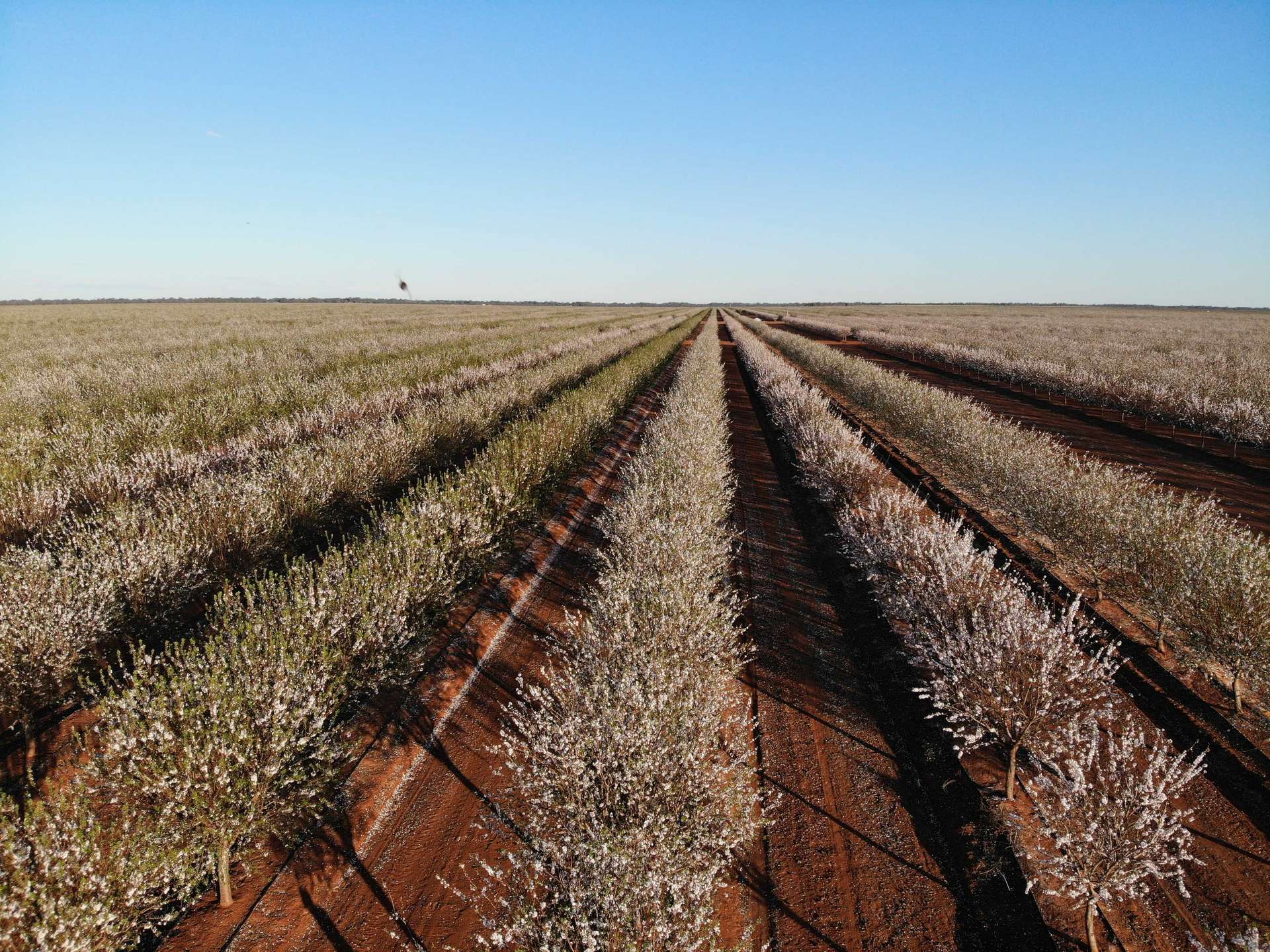 Hillston For Sale by Farmbuy.com - image 5