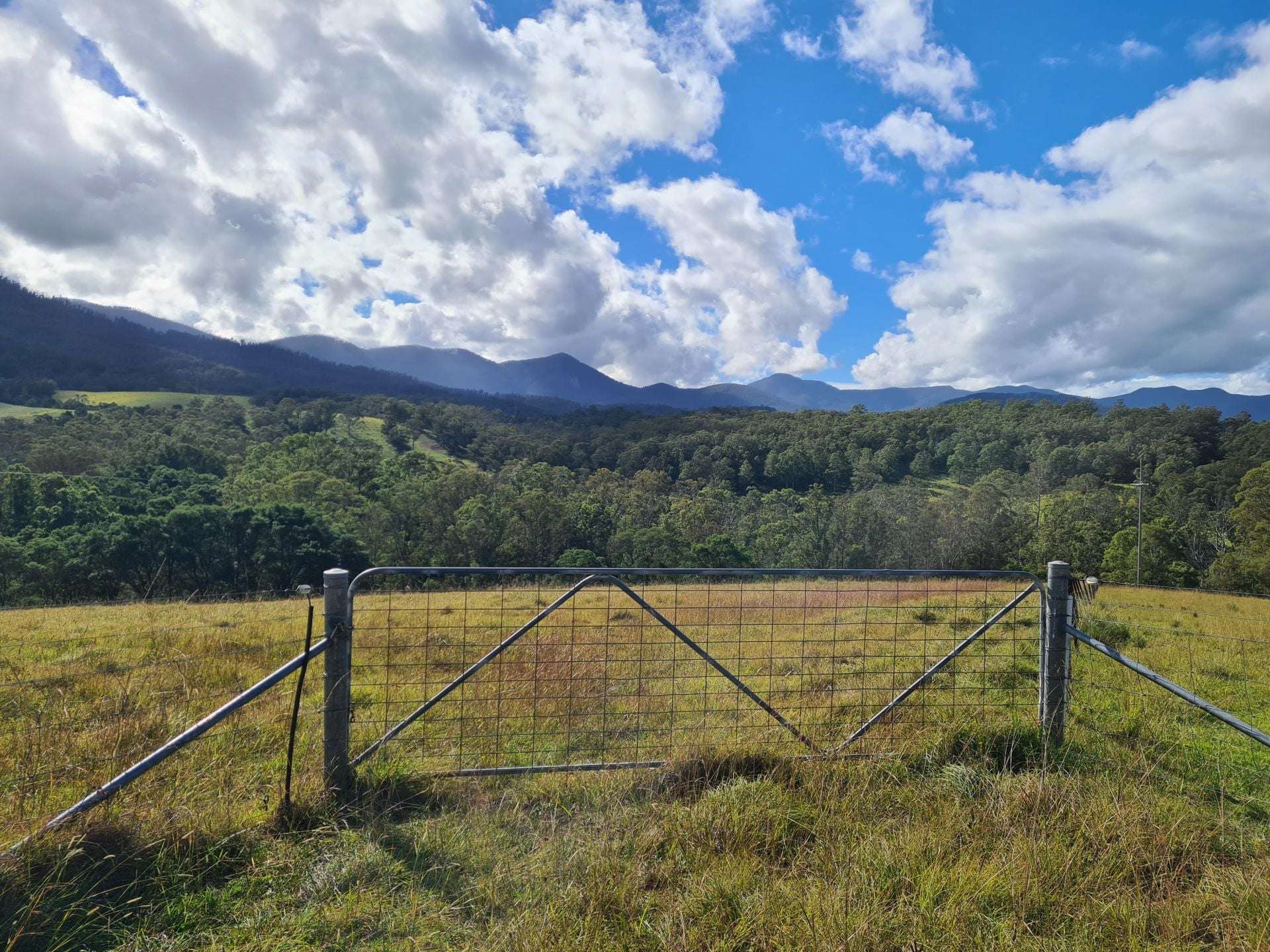 3644 Snowy Mountains Highway, Bemboka For Sale by Farmbuy.com - image 1