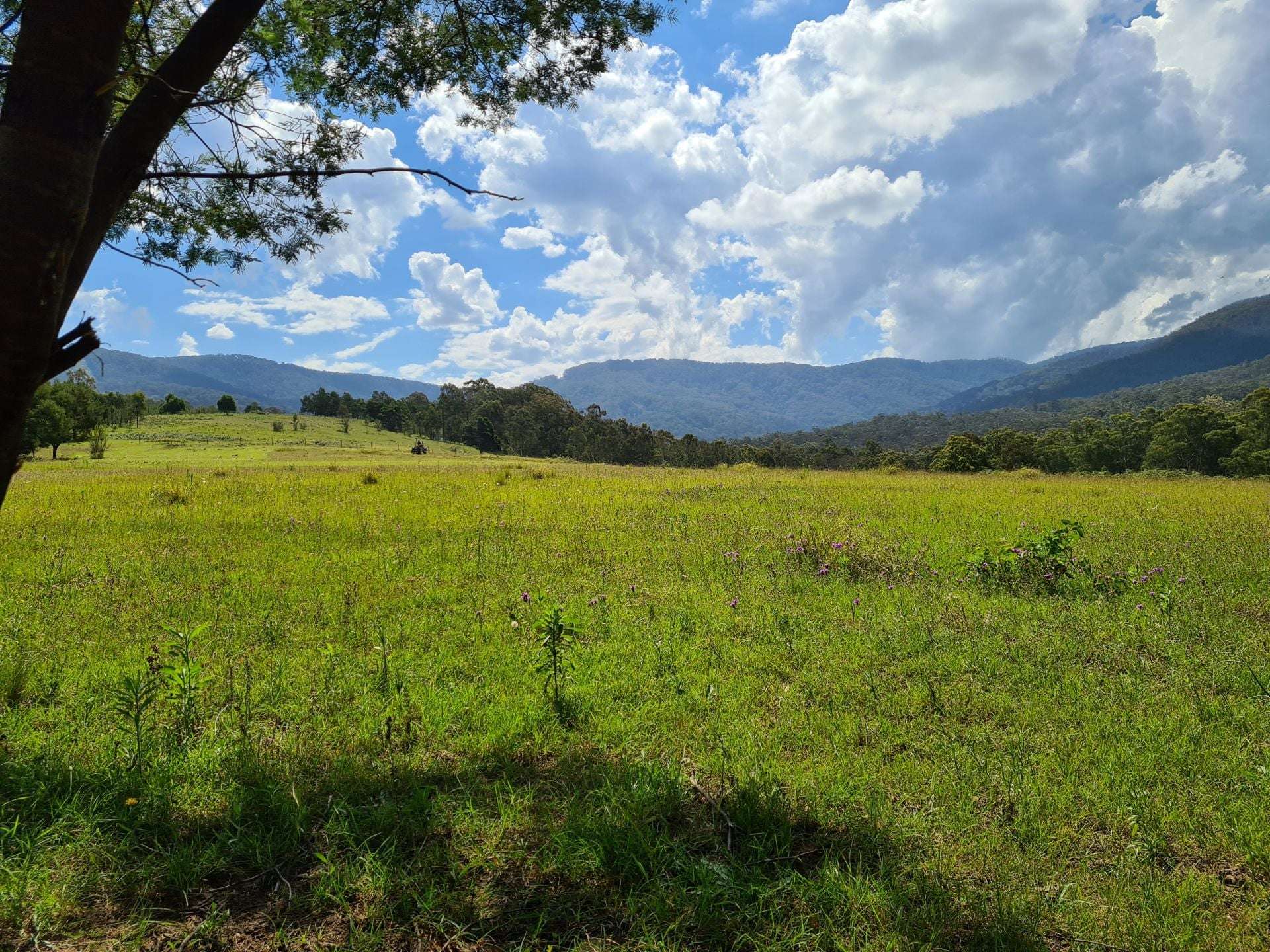 3644 Snowy Mountains Highway, Bemboka For Sale by Farmbuy.com - image 13