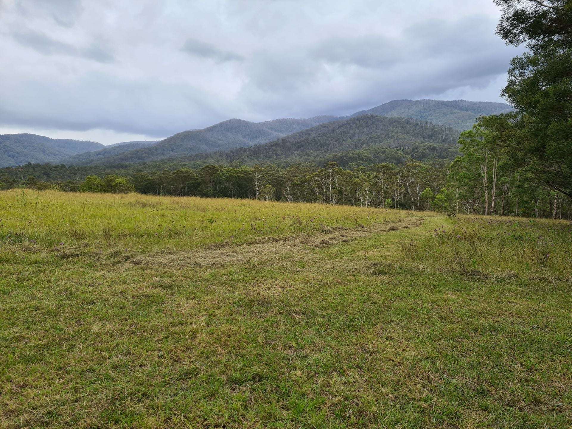 3644 Snowy Mountains Highway, Bemboka For Sale by Farmbuy.com - image 10