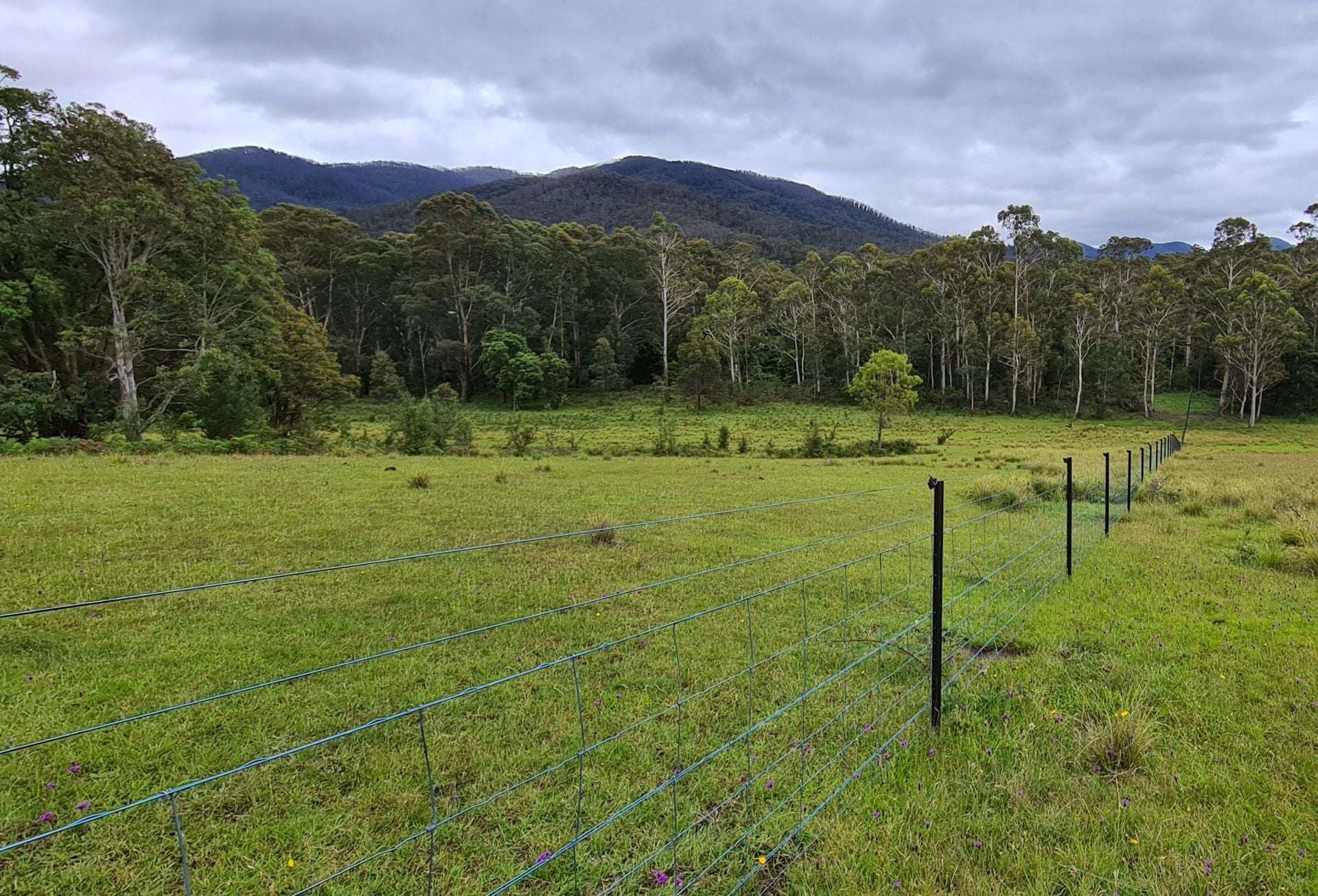 3644 Snowy Mountains Highway, Bemboka For Sale by Farmbuy.com - image 6
